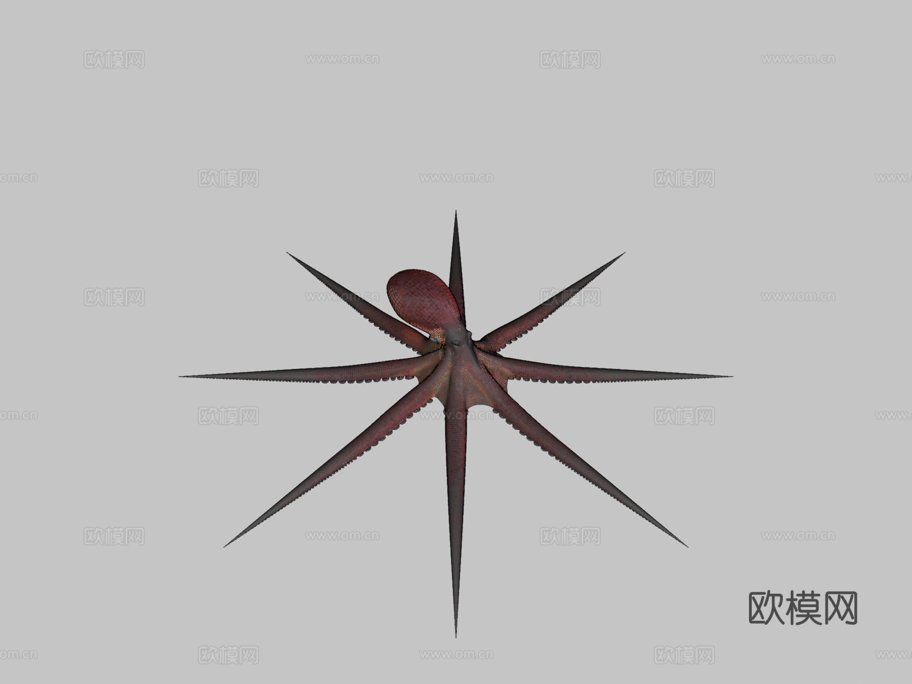 太平洋章鱼动画3d模型