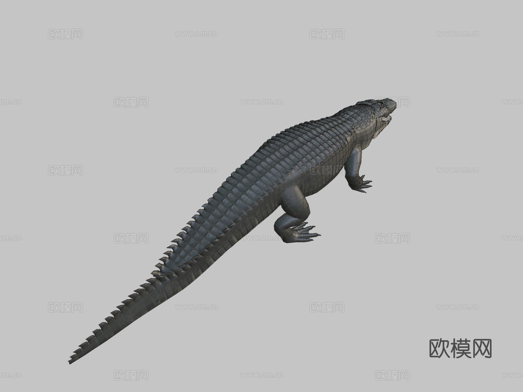 美洲短吻鳄-Blender文件3d模型
