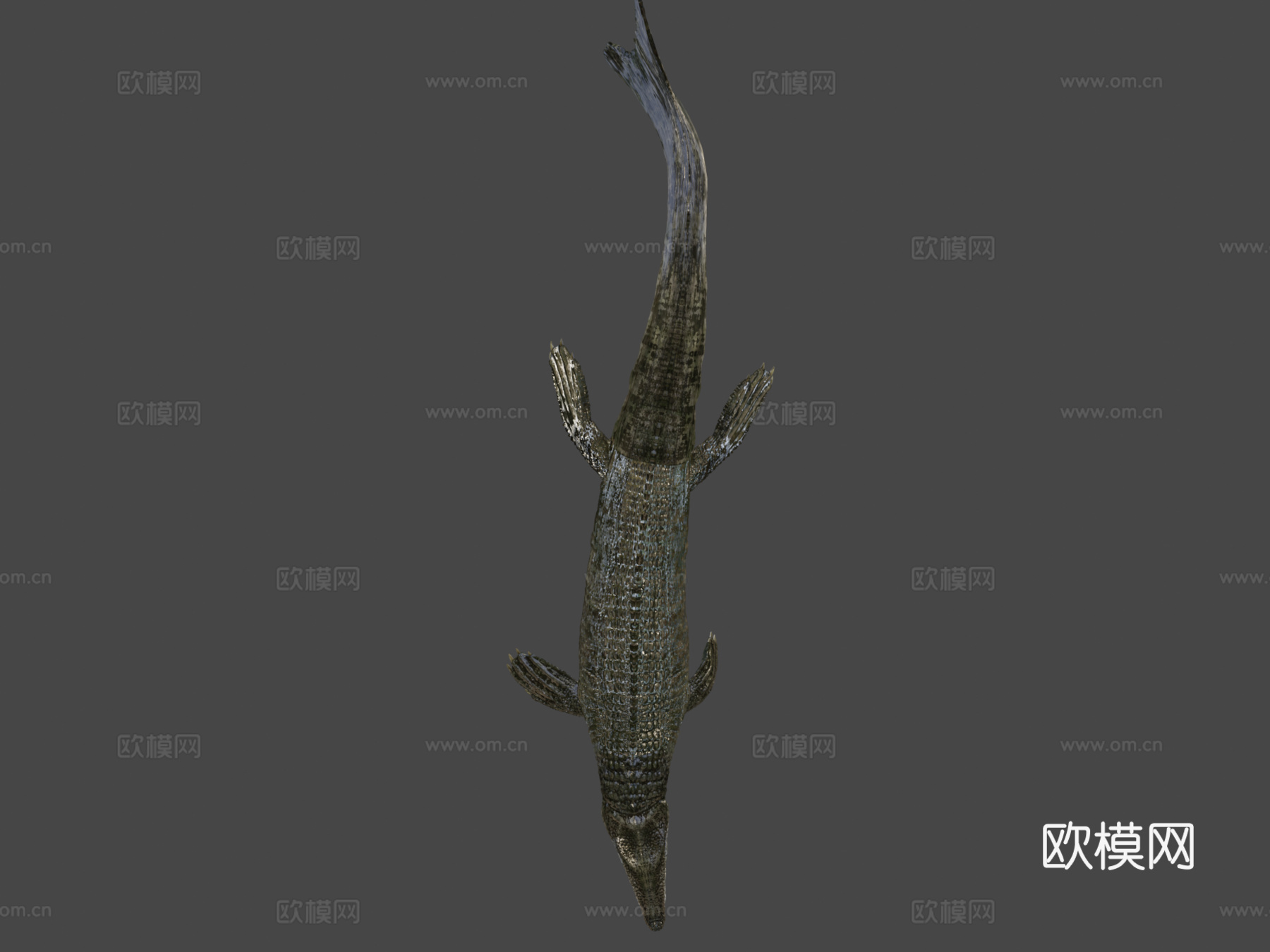 达科龙3d模型