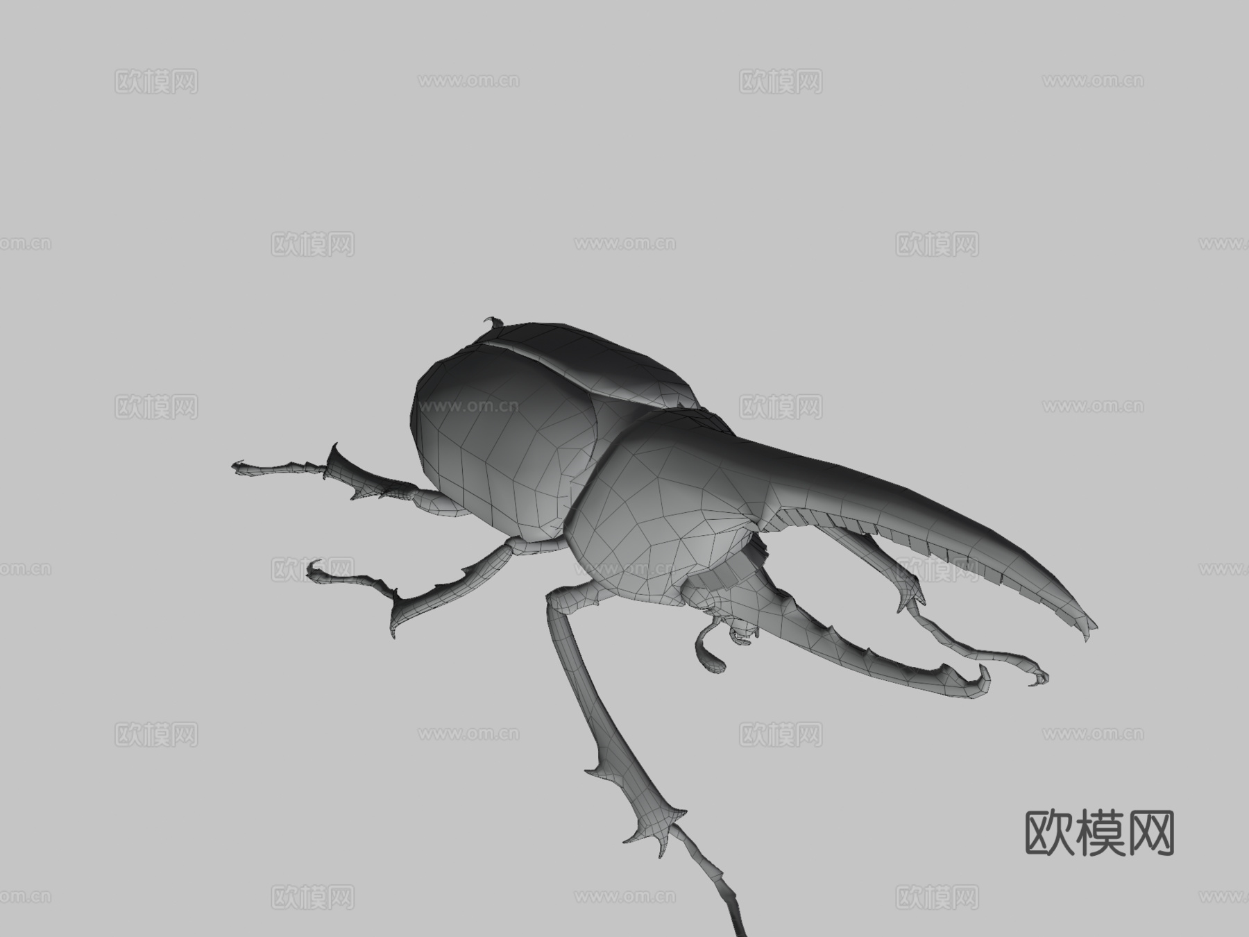 赫拉克勒斯大兜虫3d模型
