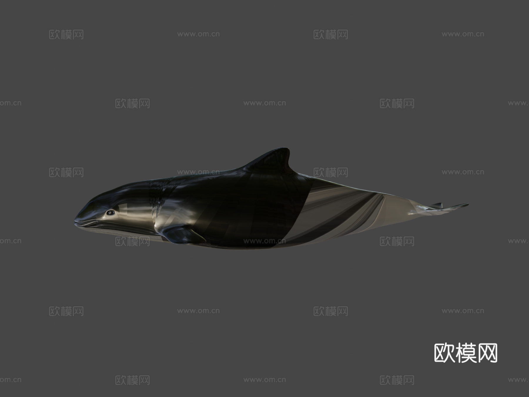 A型-港湾鼠海豚3d模型