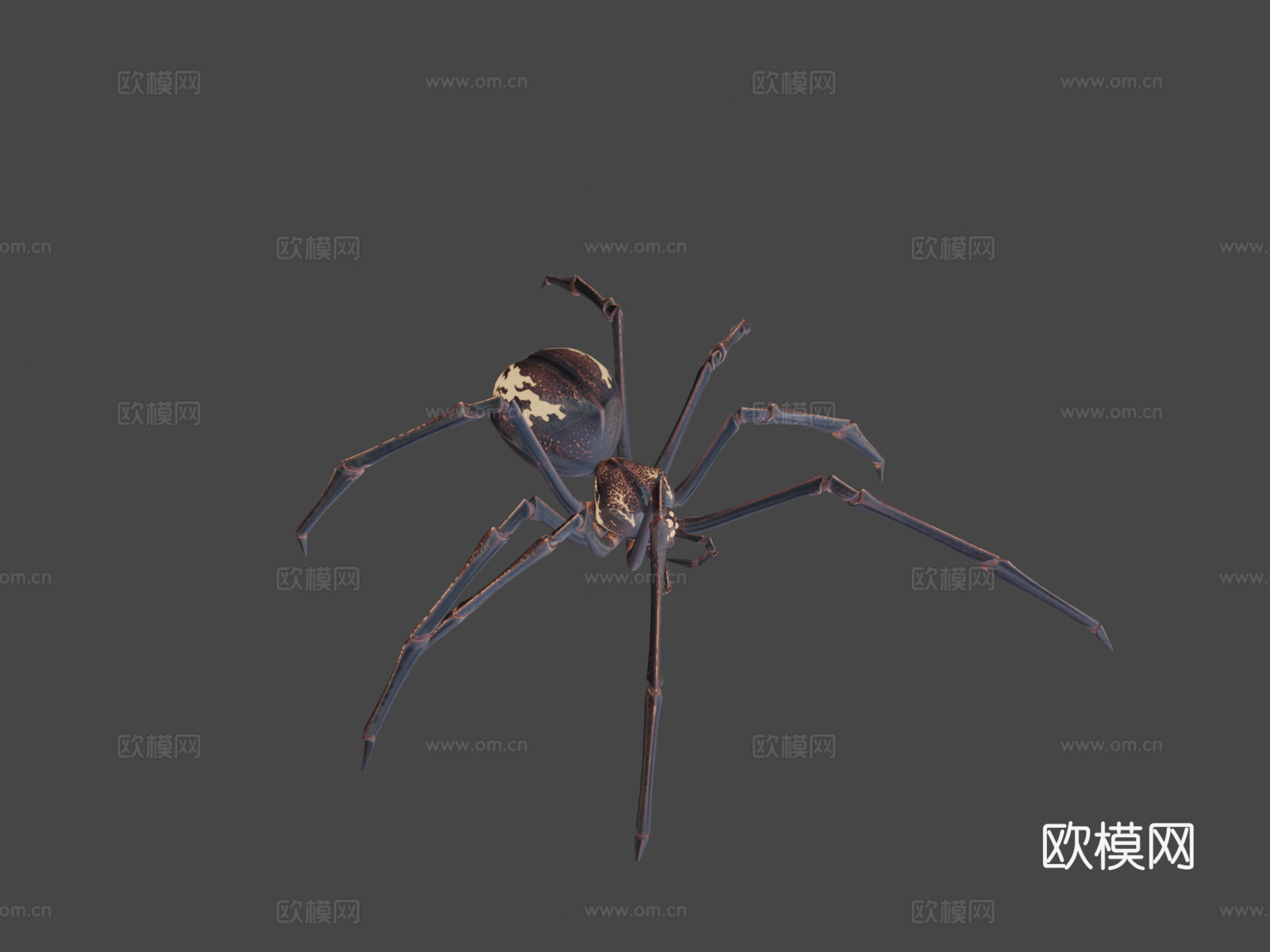 生物发光幻想蜘蛛3d模型