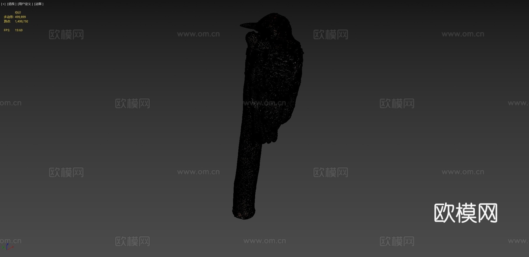 红腹啄木鸟3d模型