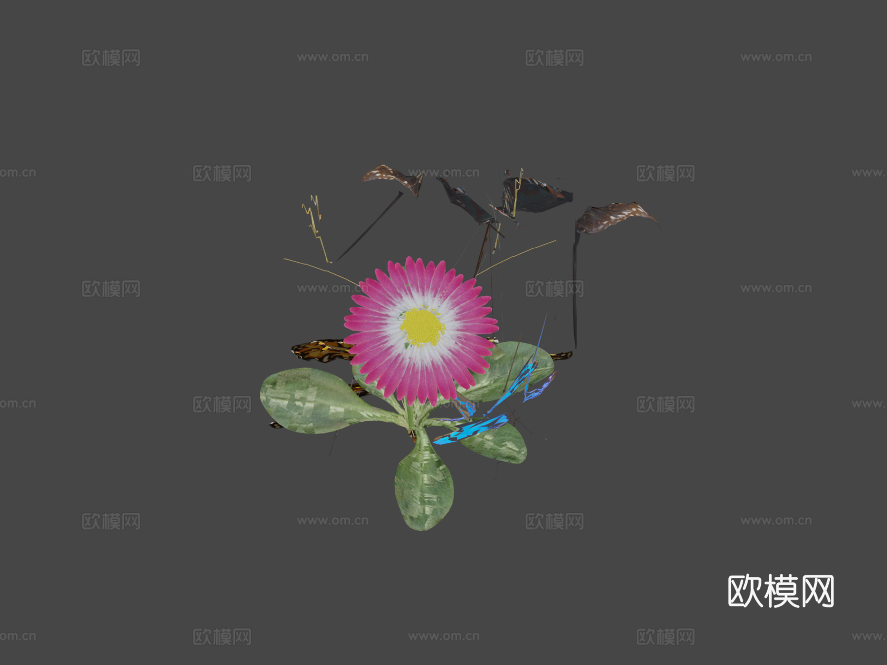 蝴蝶帮3d模型