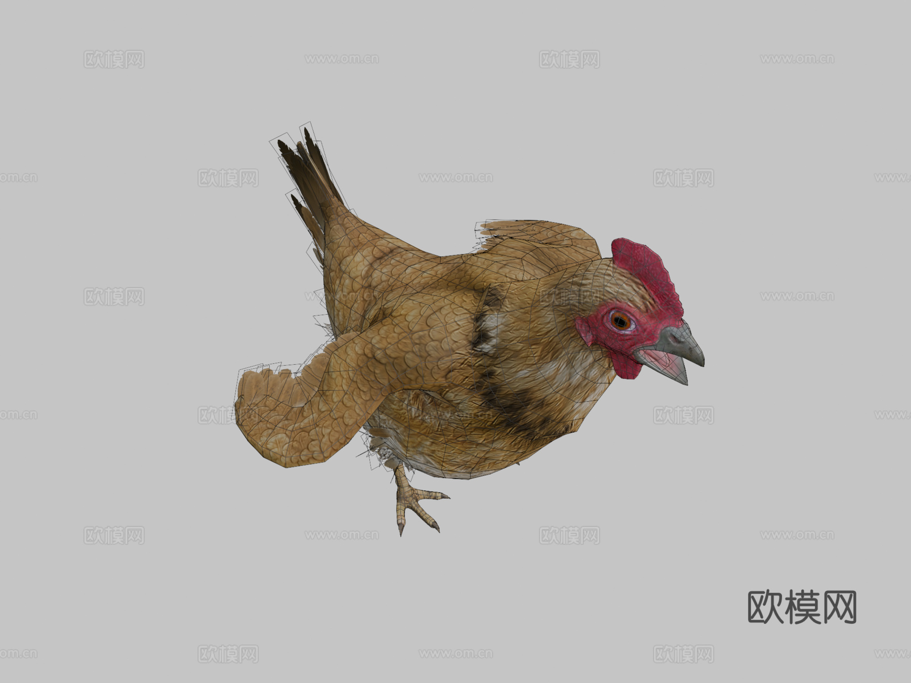 小鸡动画su模型