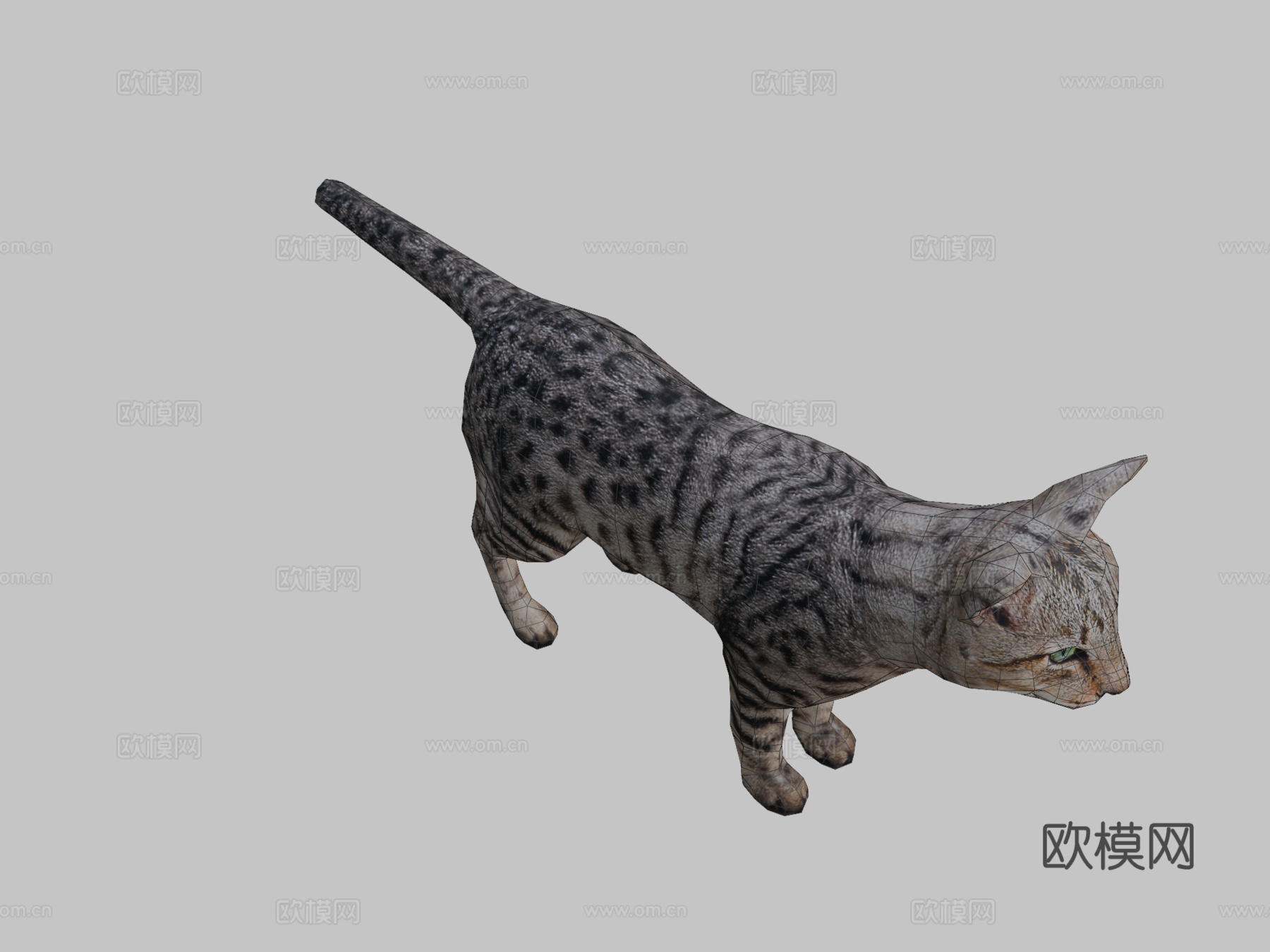 DRT-家养动物-猫3d模型