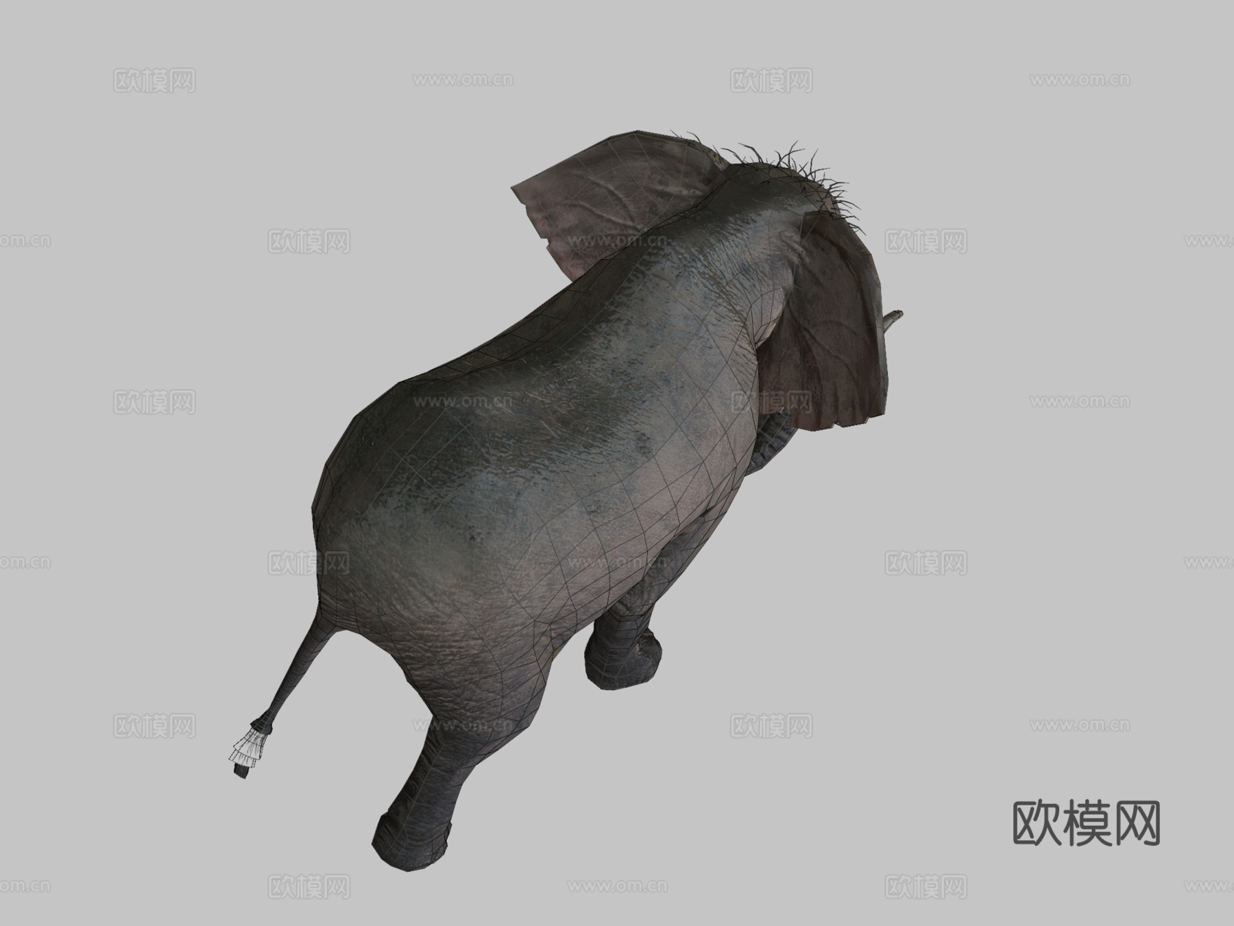 大象行走动画3d模型
