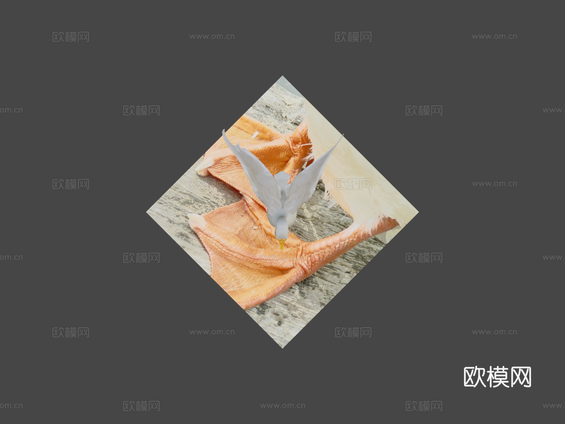 鸭子3d模型