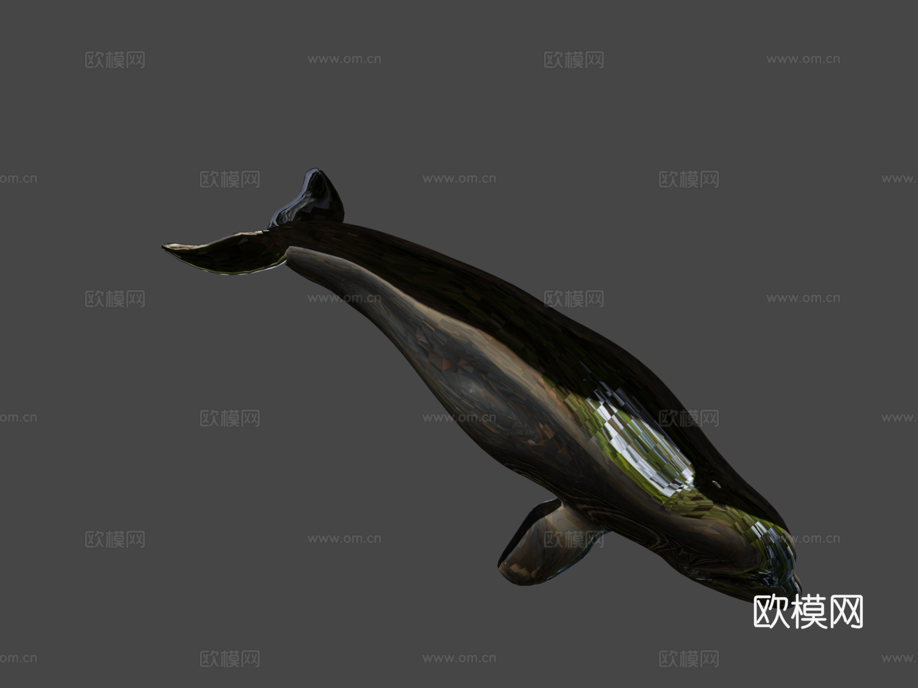 白鲸3d模型