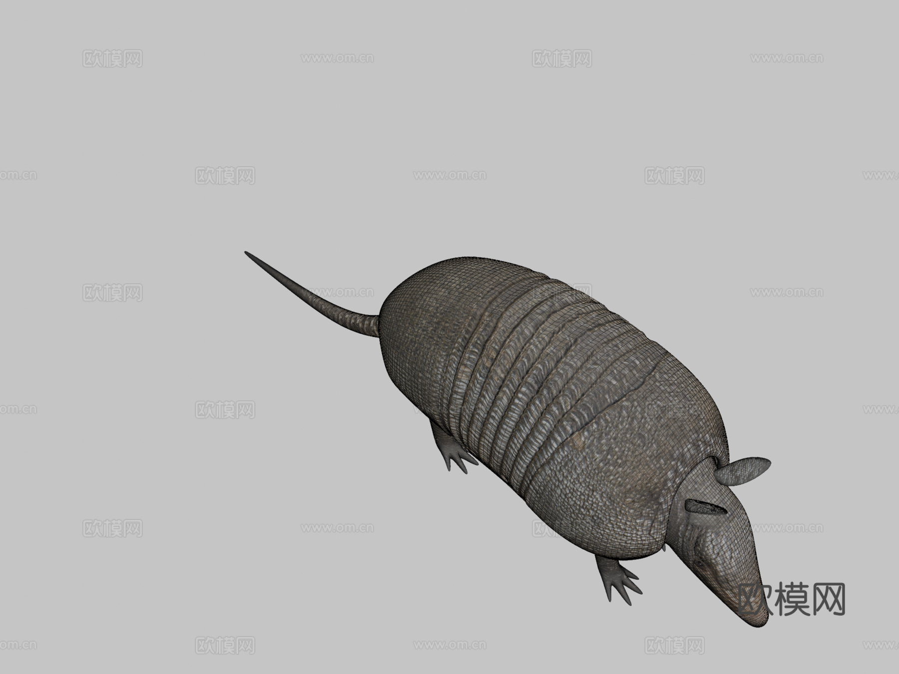 犰狳3d模型