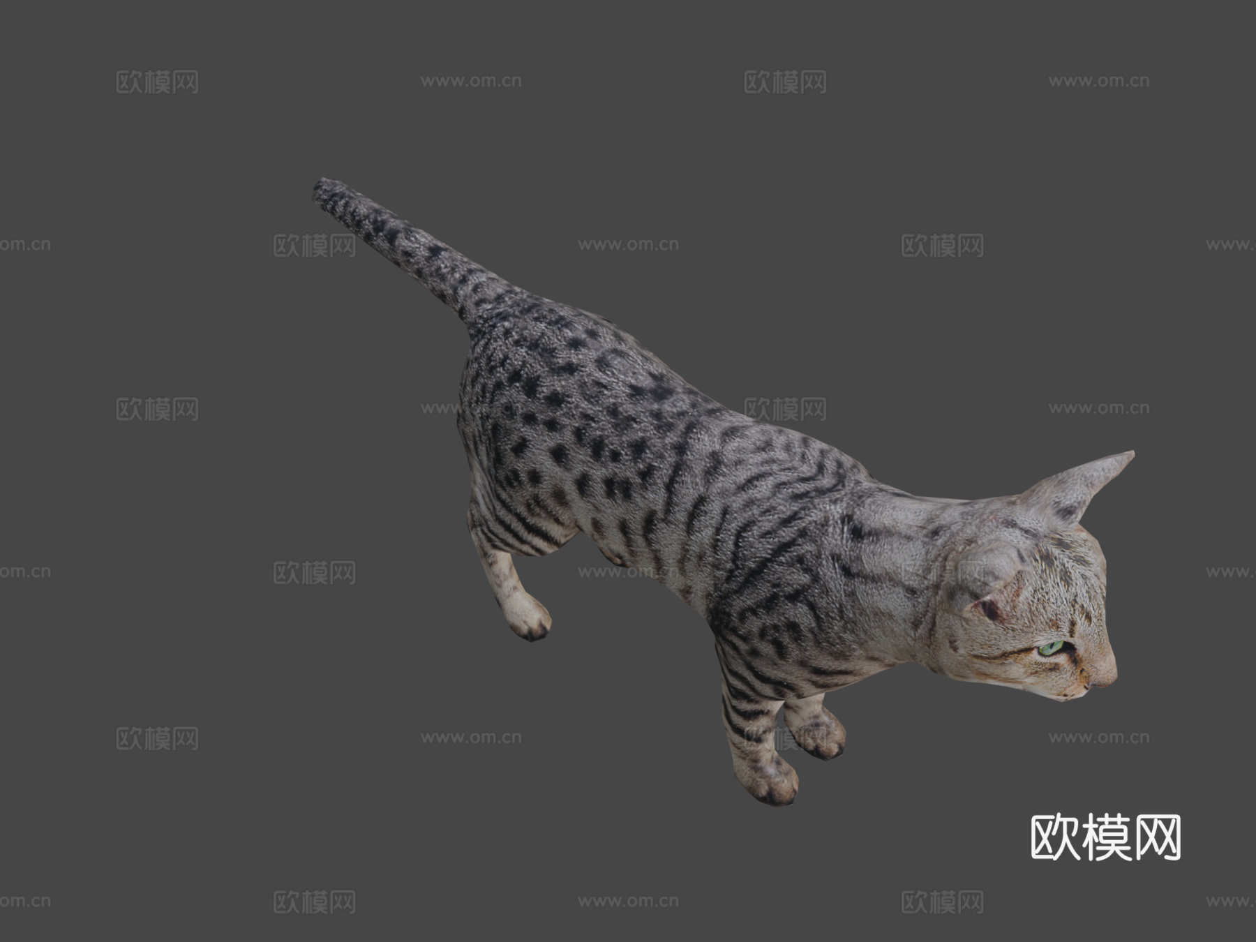 DRT-家养动物-猫3d模型