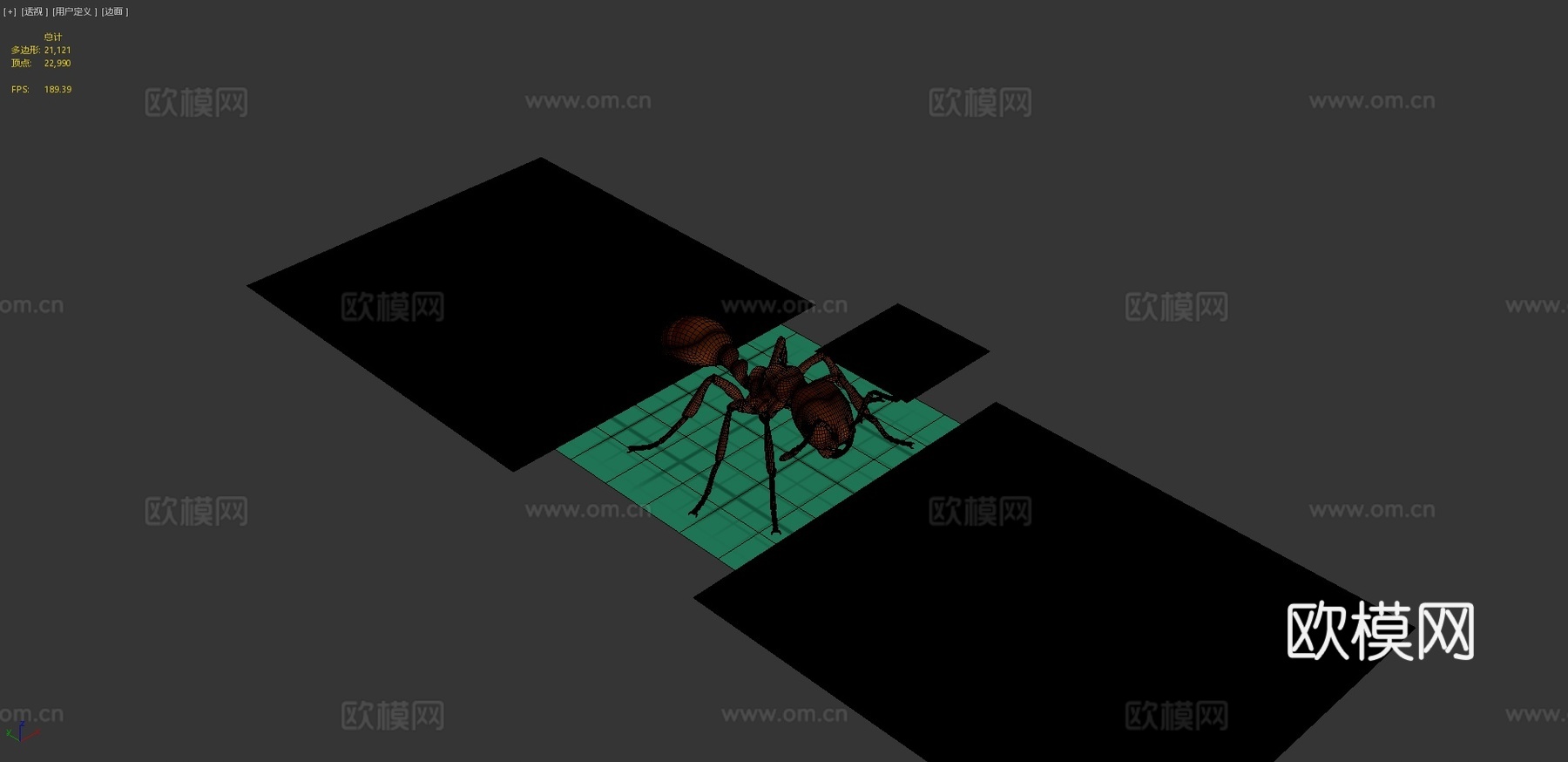 红火蚁-带动画3d模型
