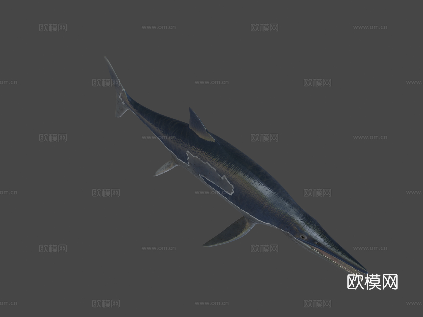 鱼龙3d模型