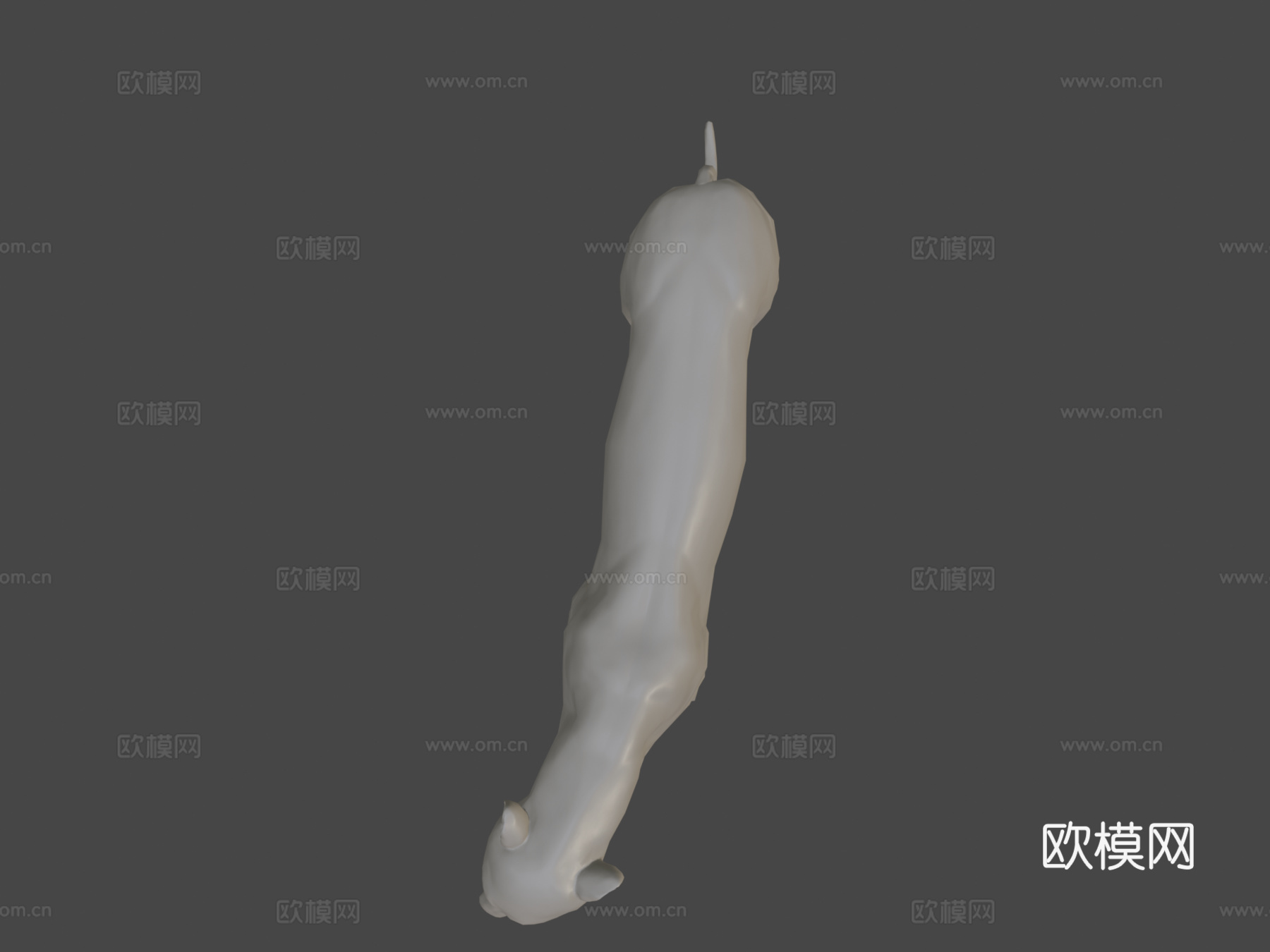 狮子解剖研究3d模型