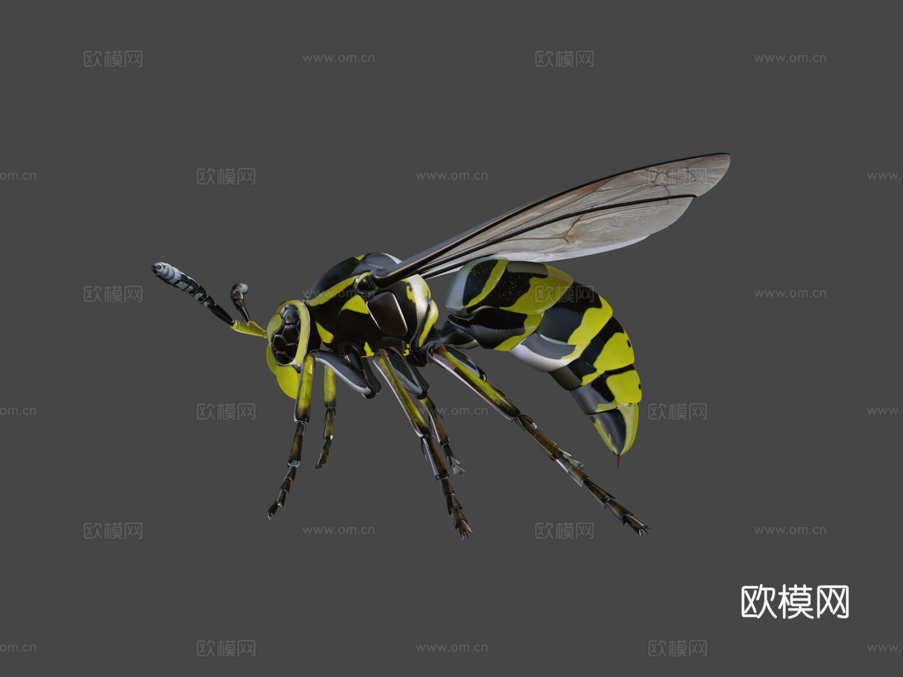 黄蜂3d模型