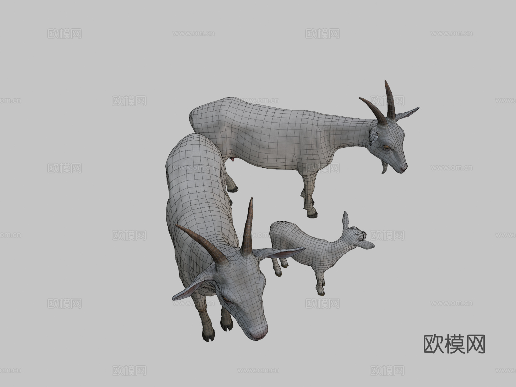 山羊家族3d模型