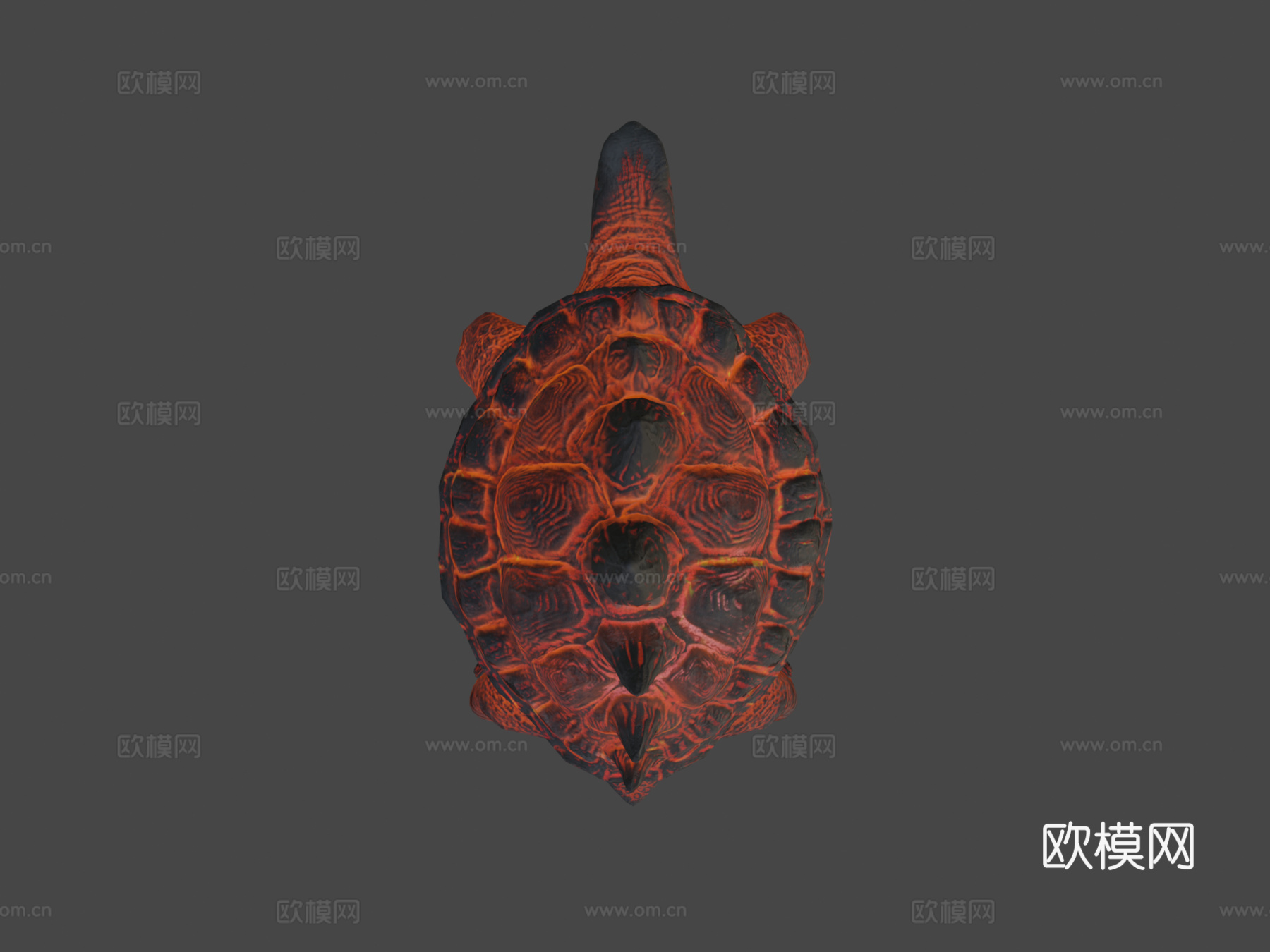 熔岩龟动画3d模型