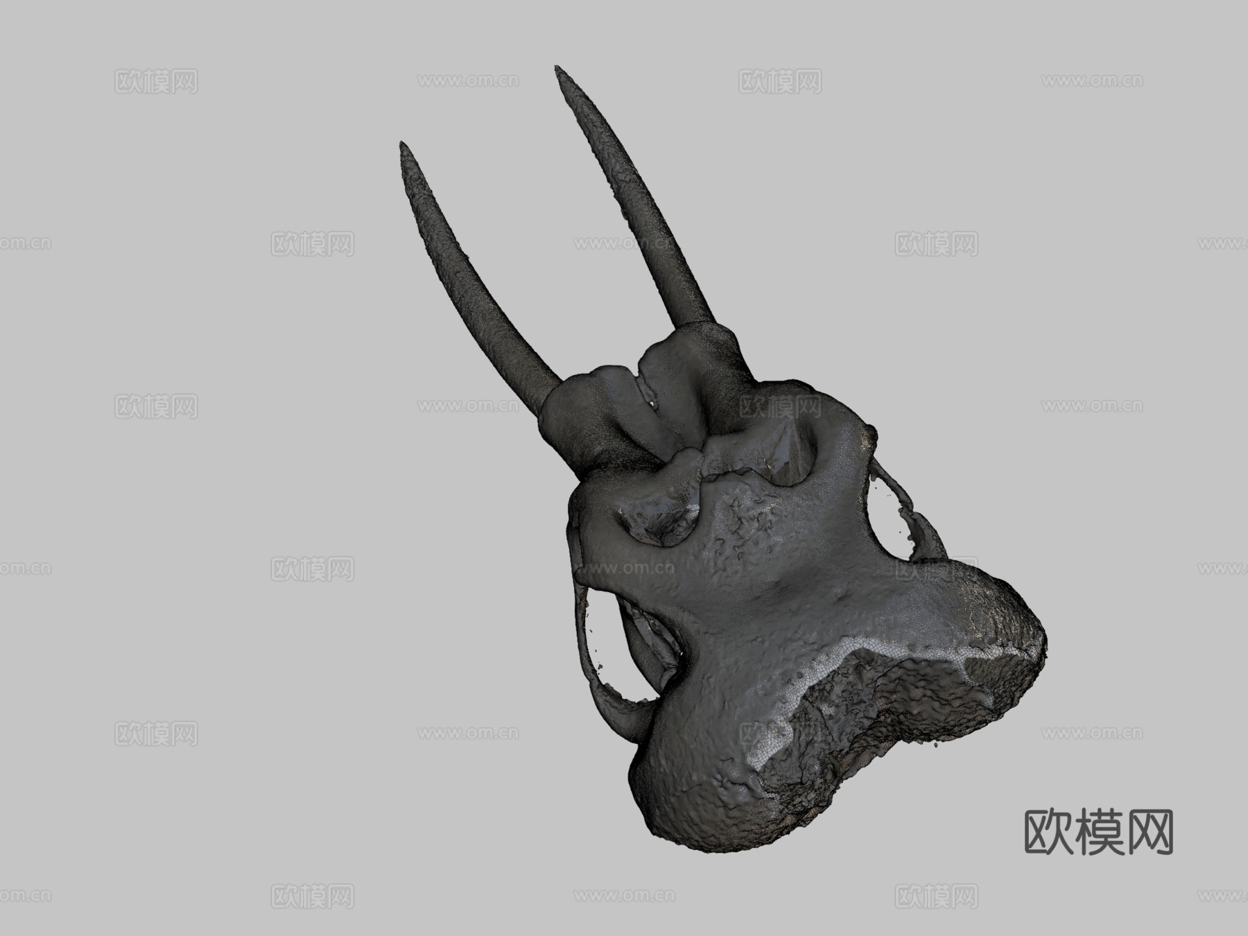 圣地亚哥自然博物馆猛犸象3d模型