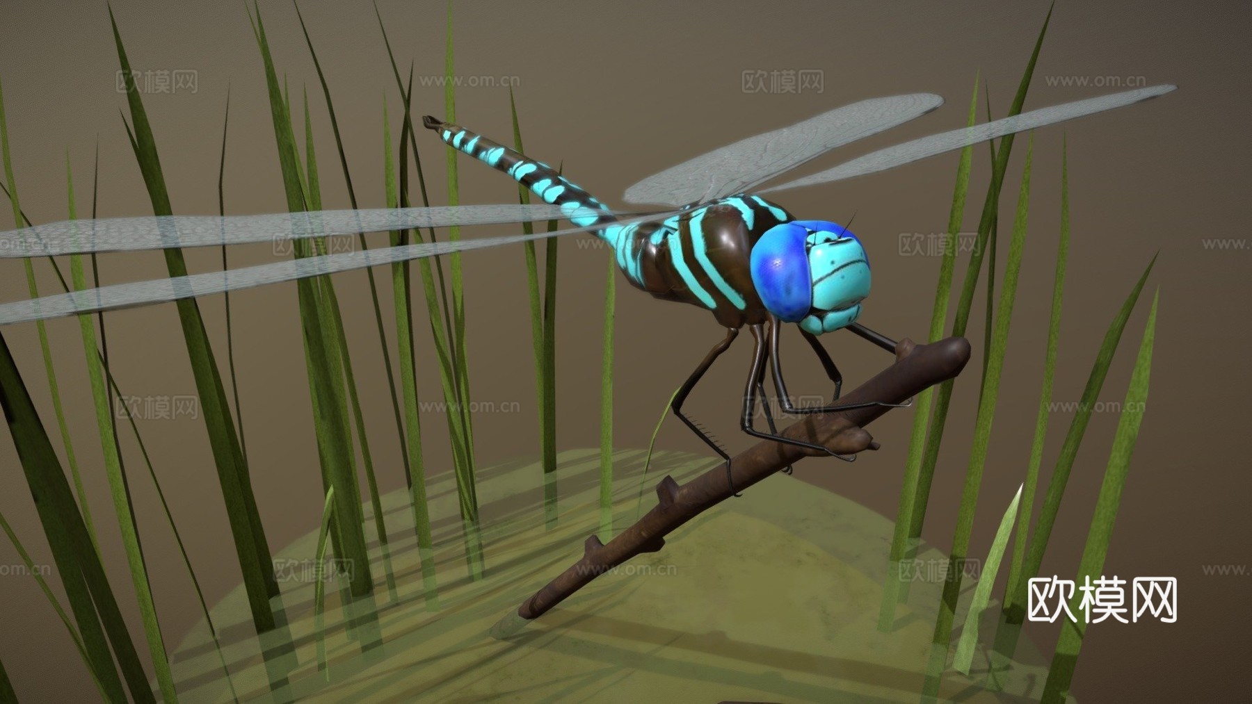 蓝蜻蜓3d模型