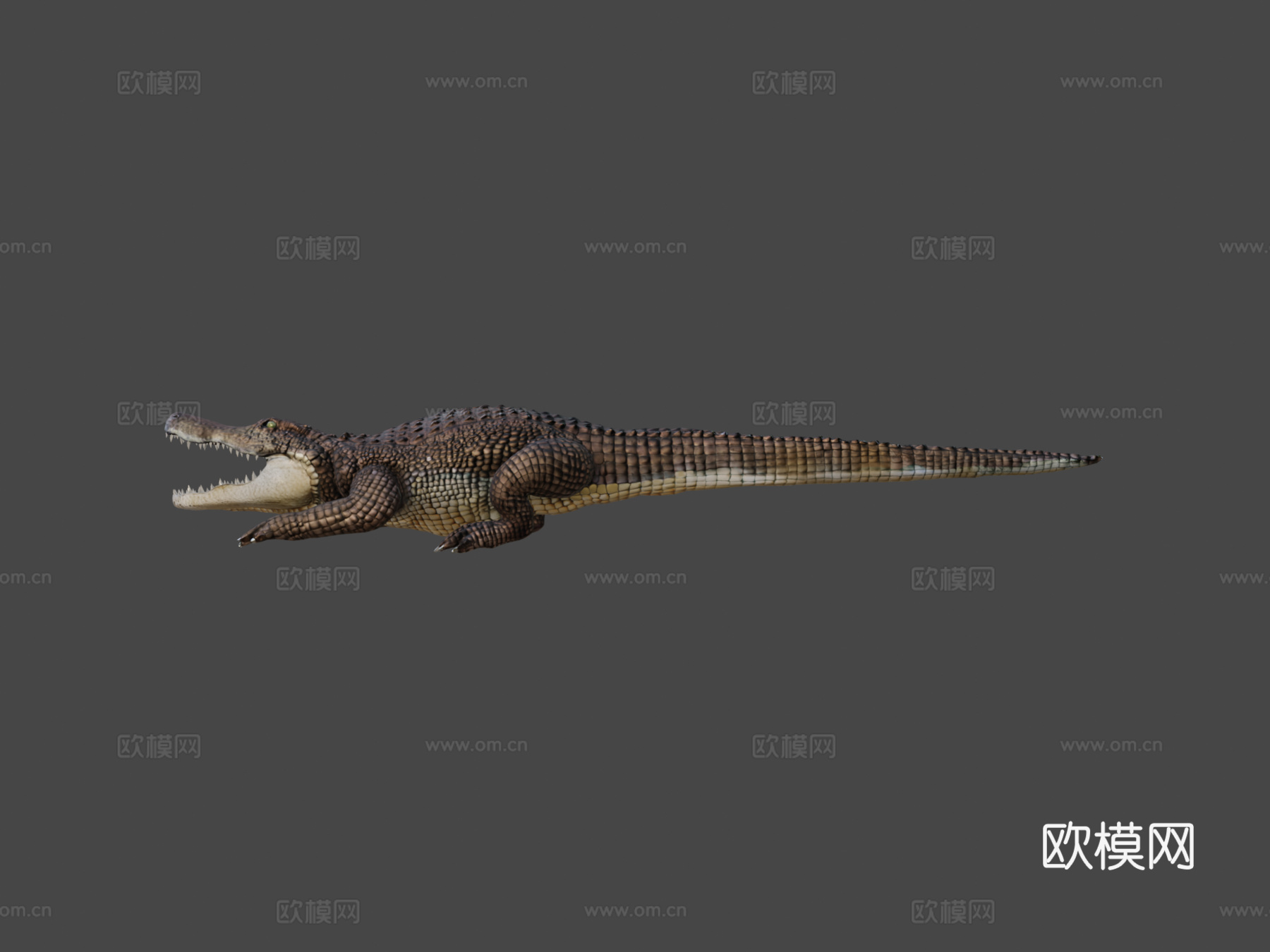 短吻鳄3d模型