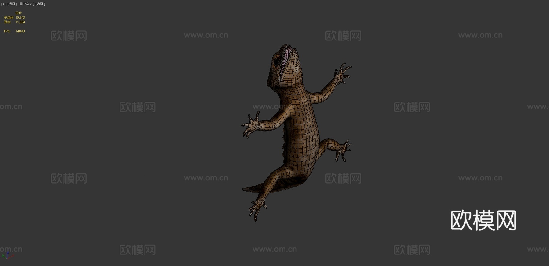 鳄鱼石龙子3d模型