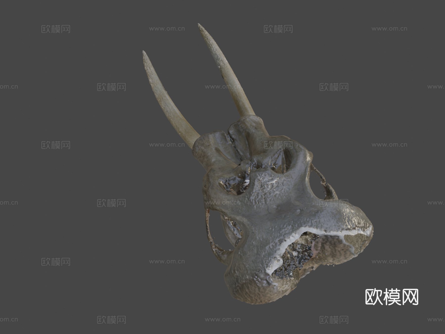 圣地亚哥自然博物馆猛犸象3d模型