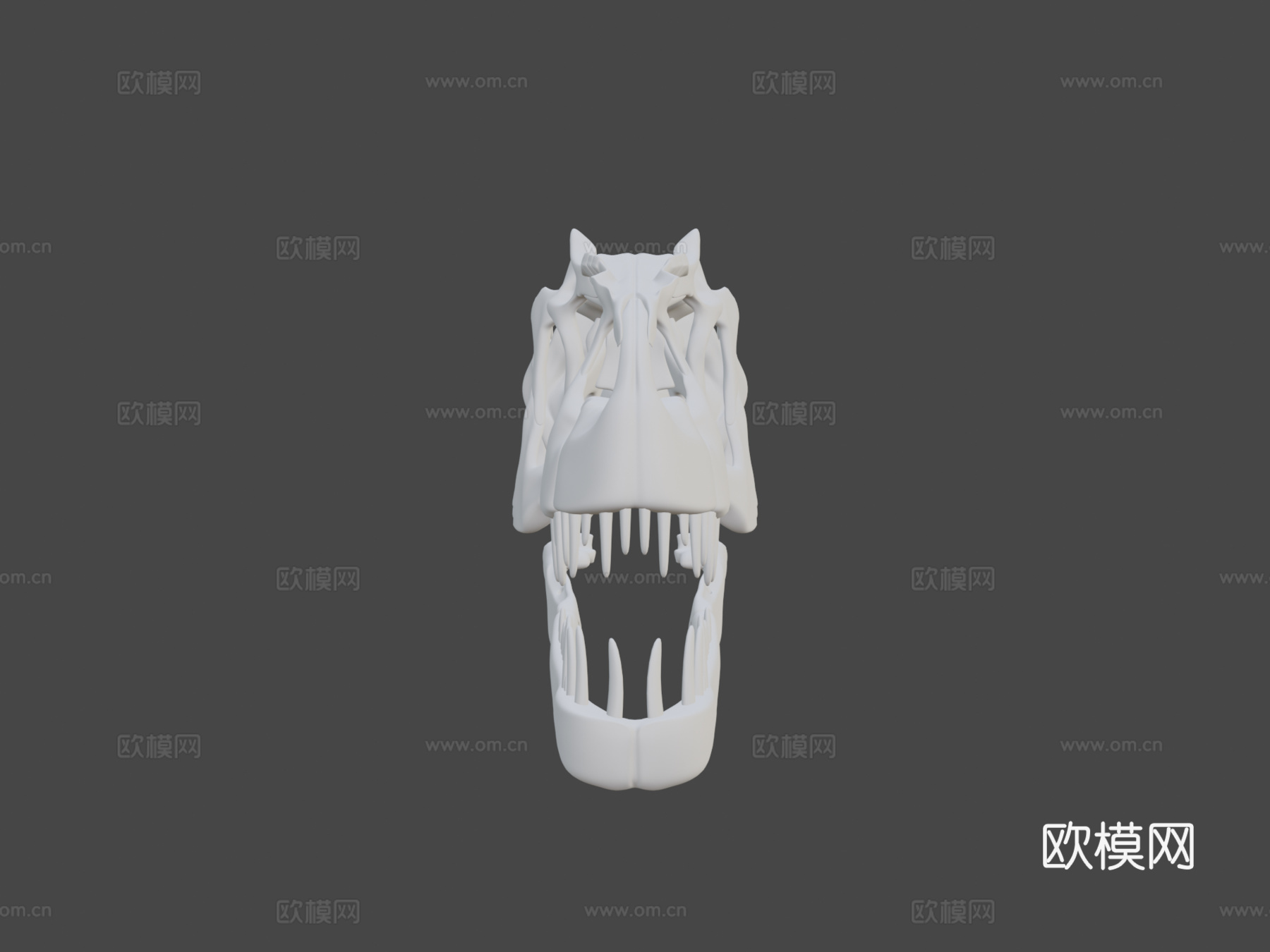 脆弱异特龙头骨3d模型
