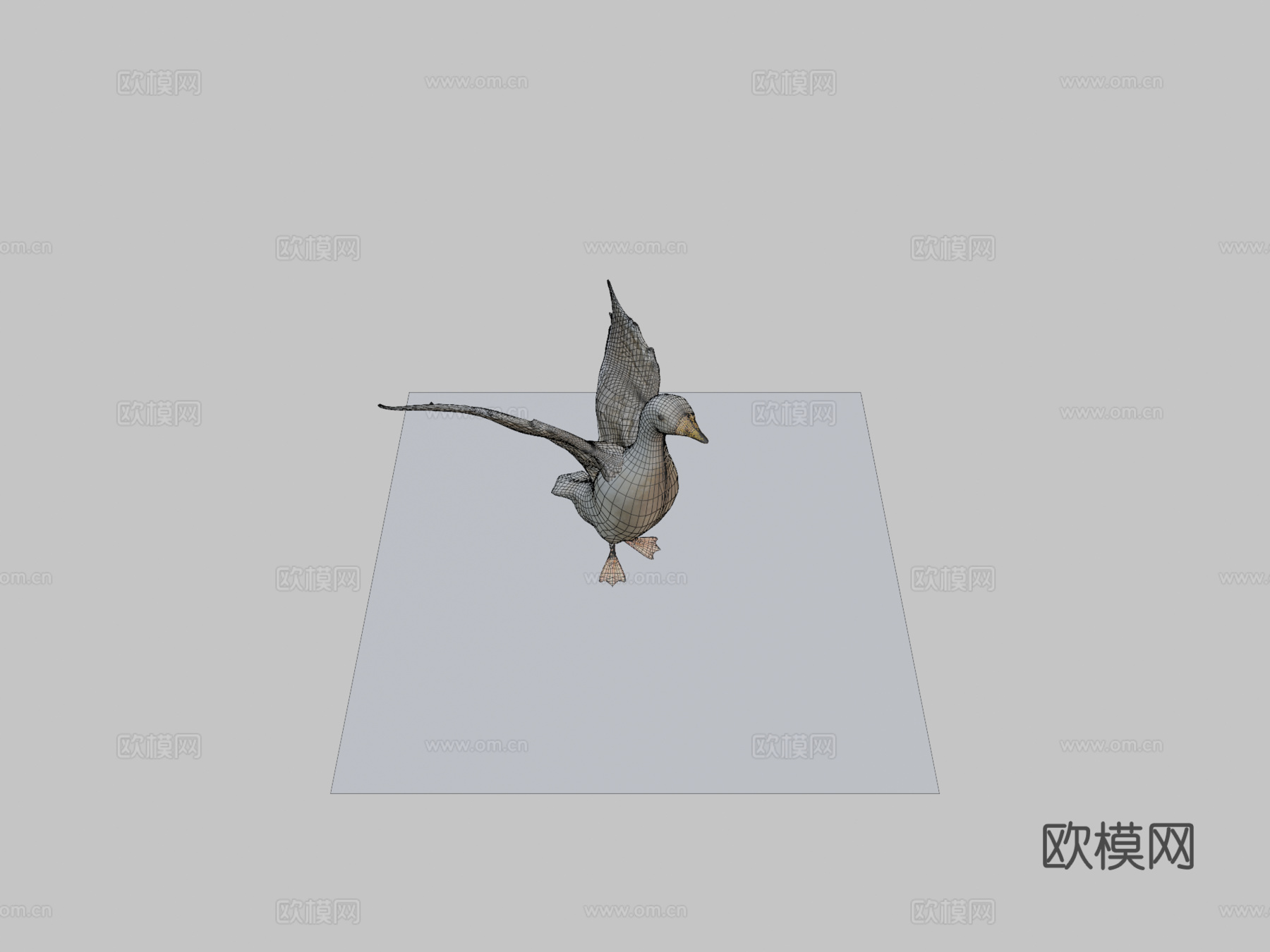 鸭子3d模型