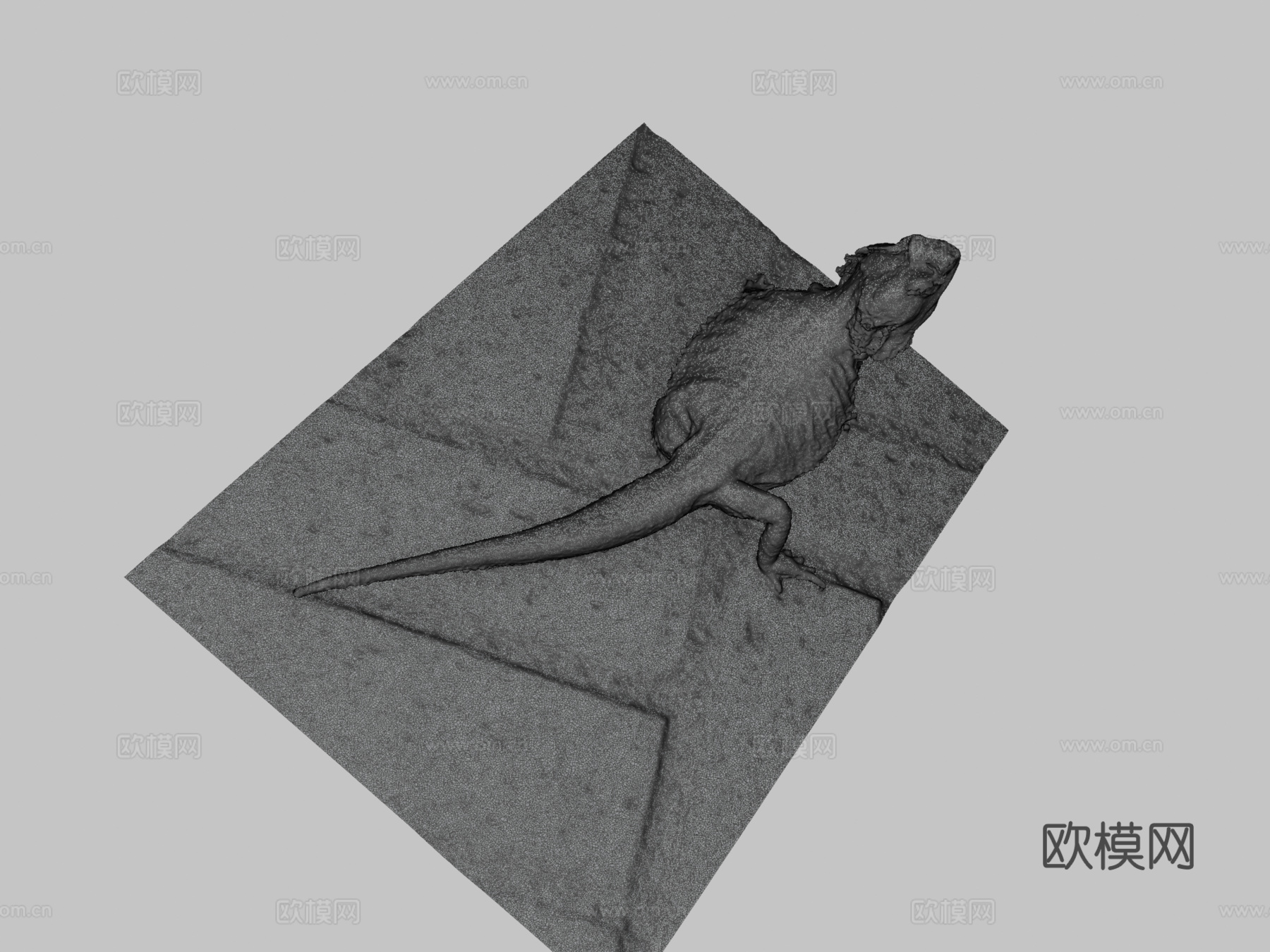 鬃狮蜥3d模型