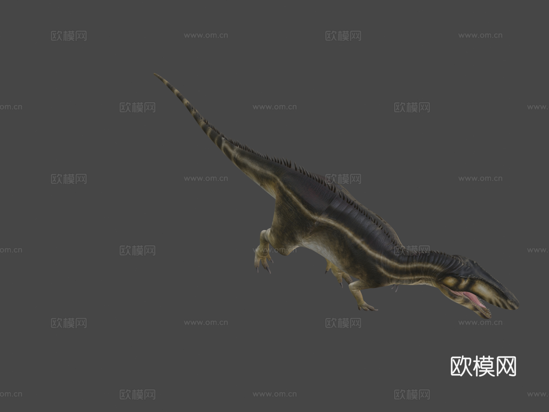 撒哈拉鲨齿龙3d模型