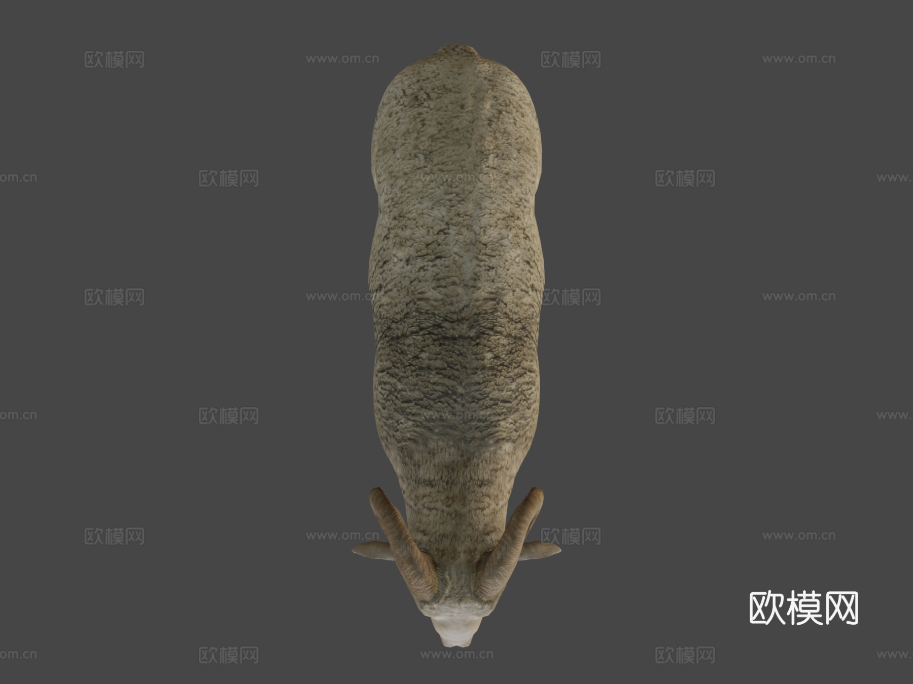 公羊动画3d模型
