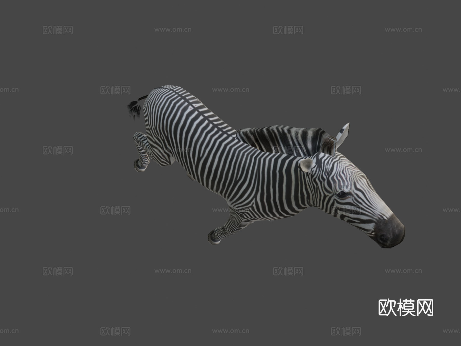 斑马奔跑3d模型