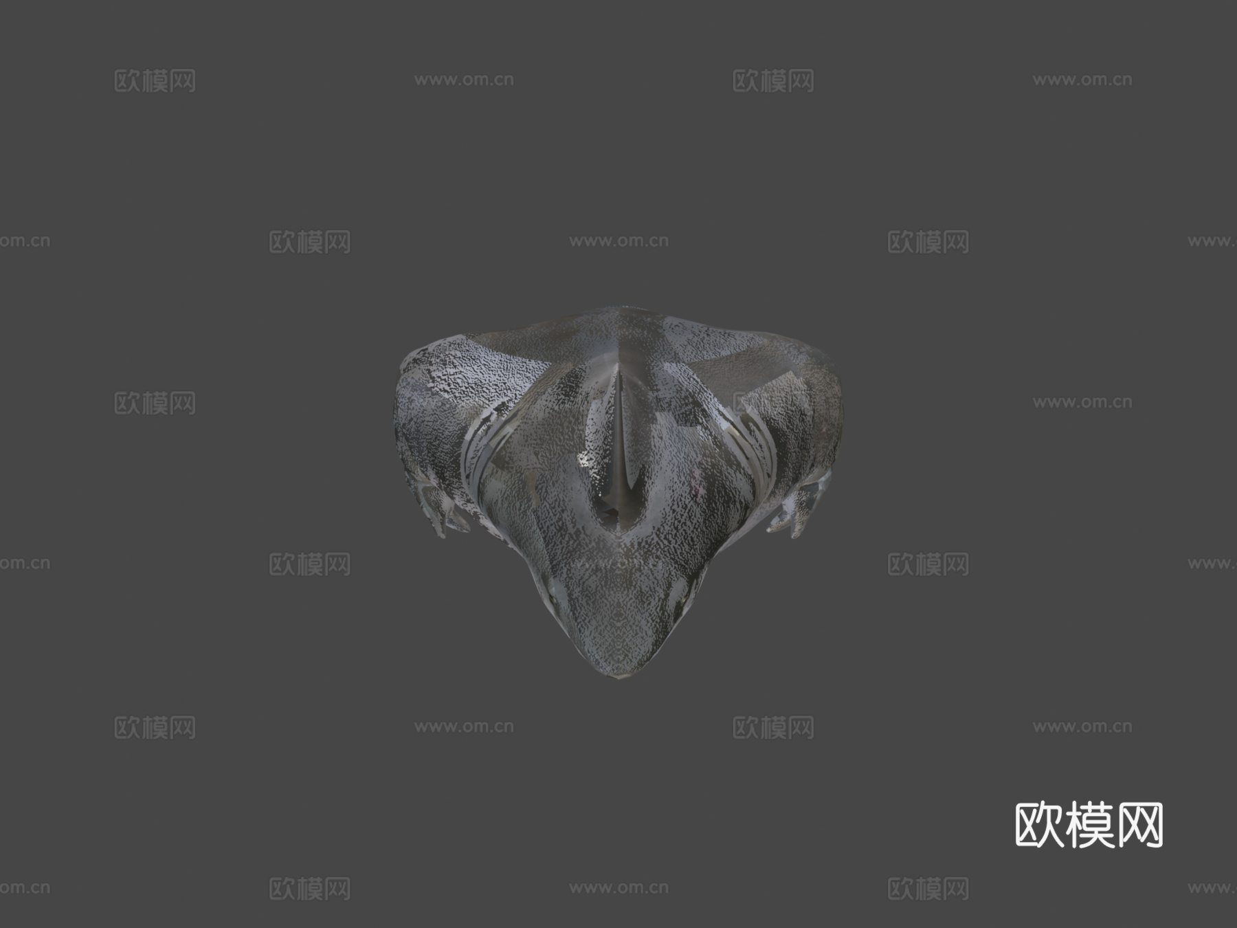 鲨鱼王3d模型