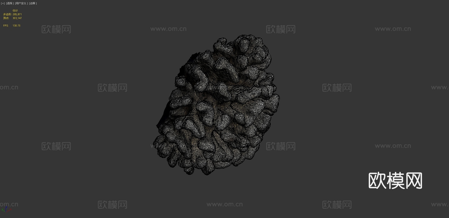 疣状杯形珊瑚3d模型