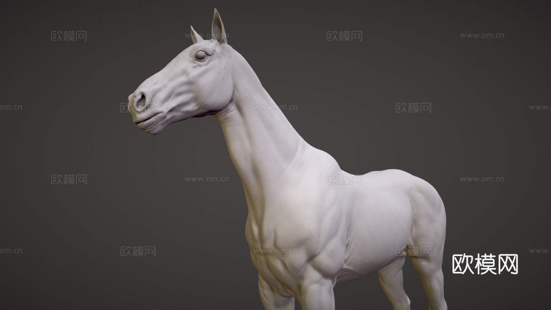 写实马雕塑3d模型