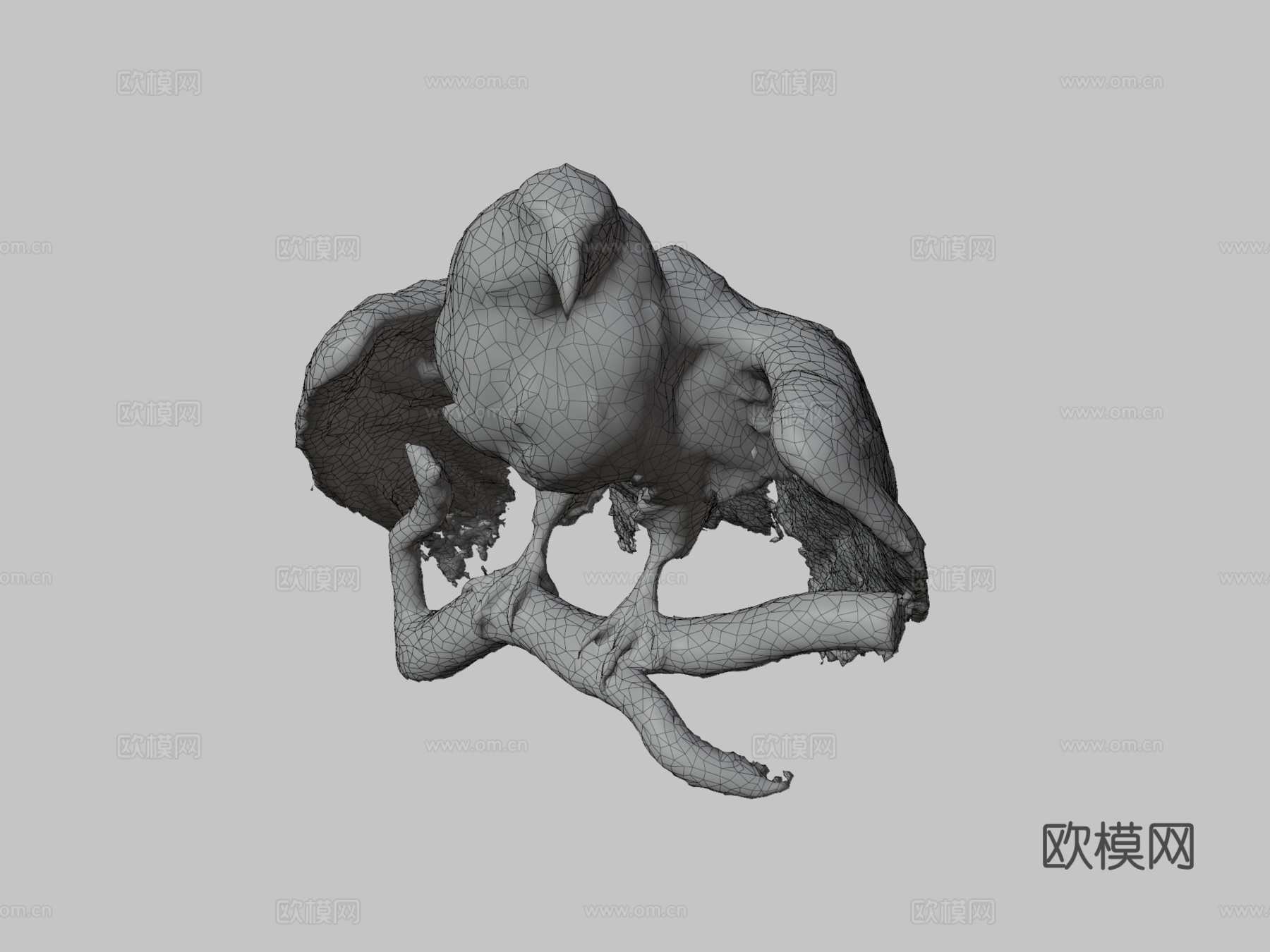 白尾海雕3d模型