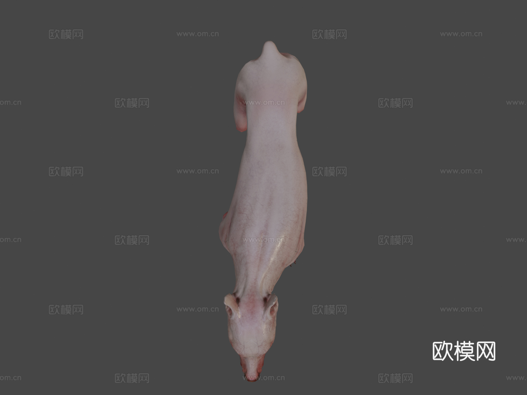 战斗犬3d模型