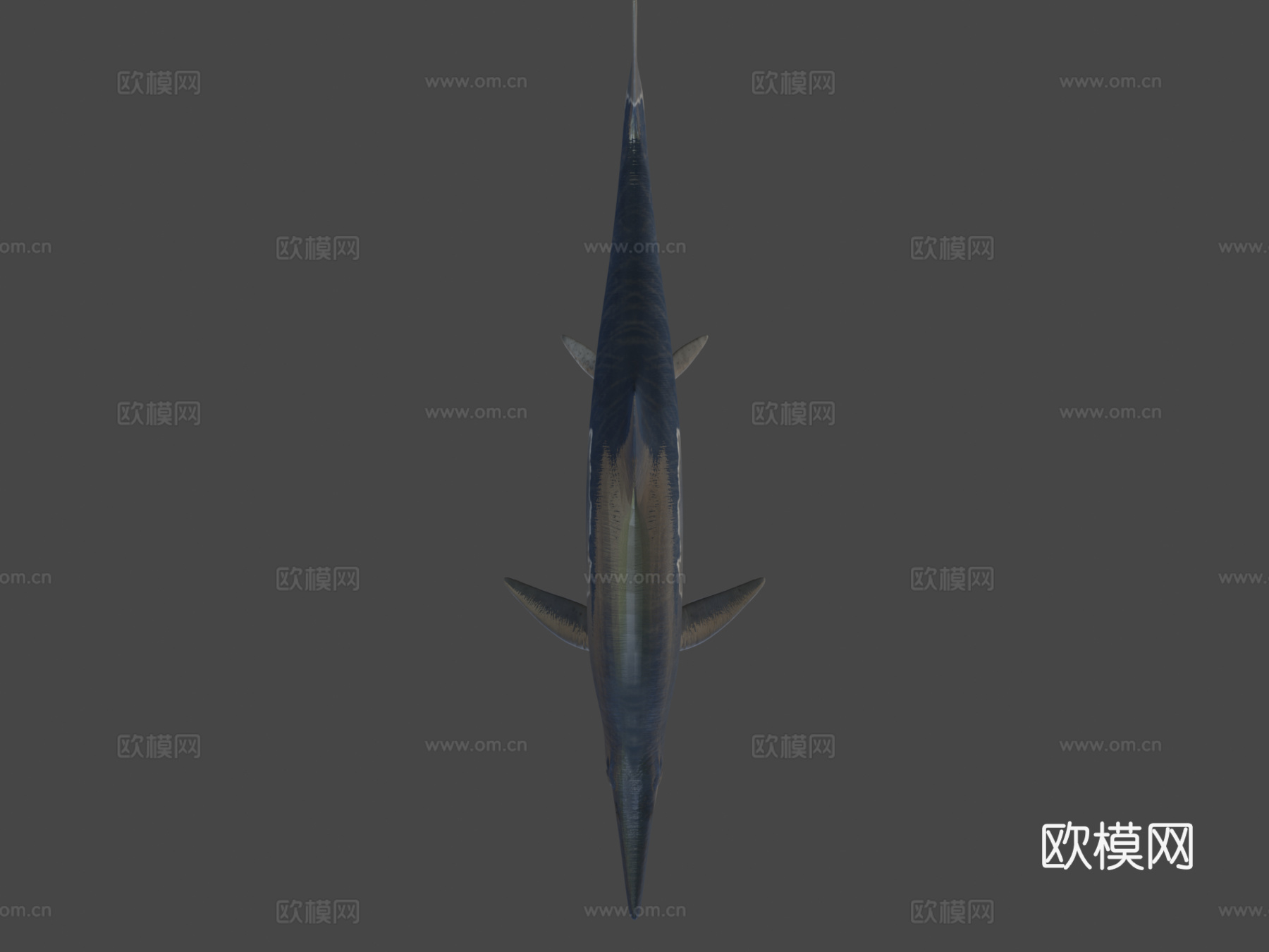 鱼龙3d模型