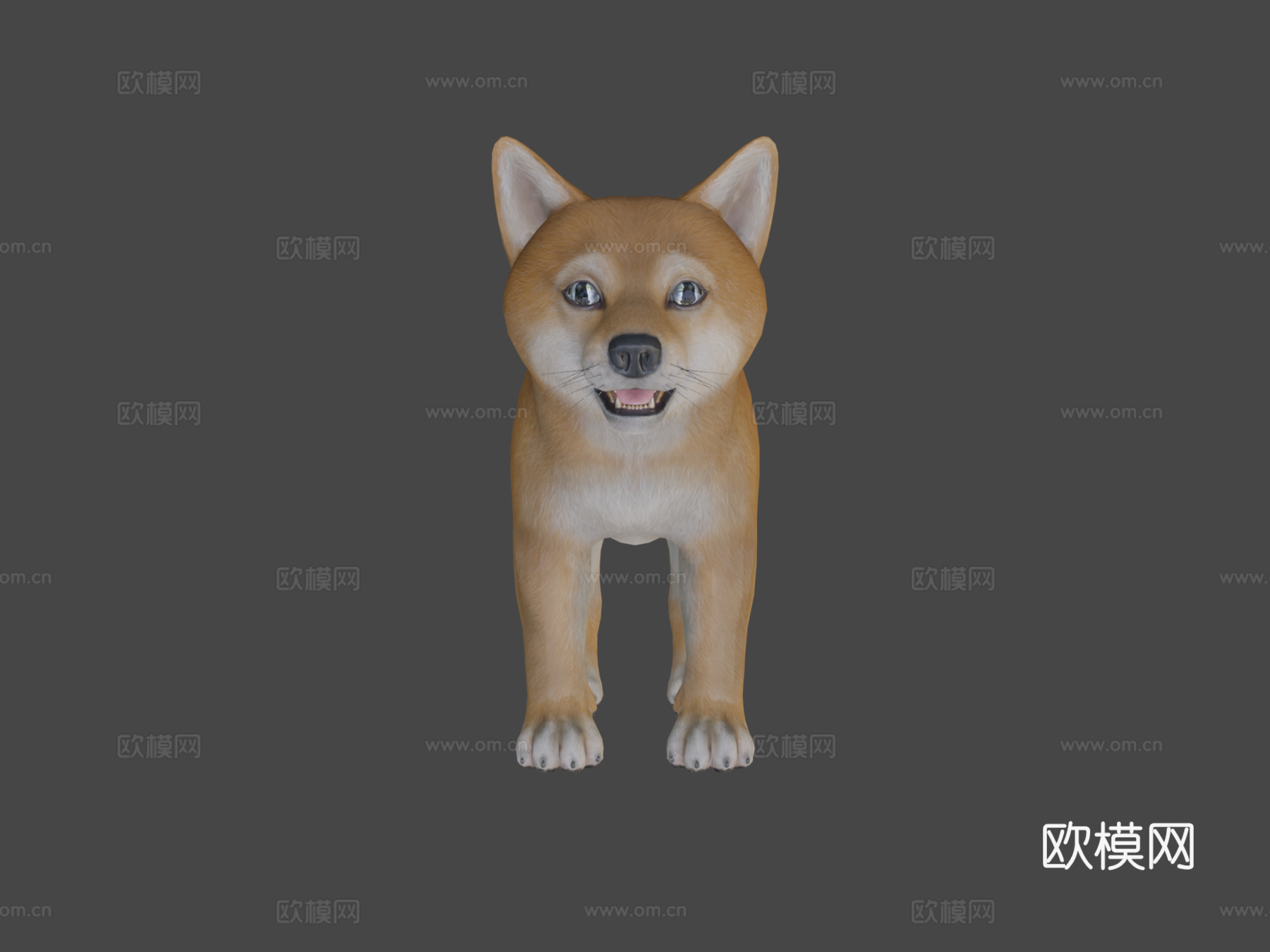 小狗-柴犬3d模型