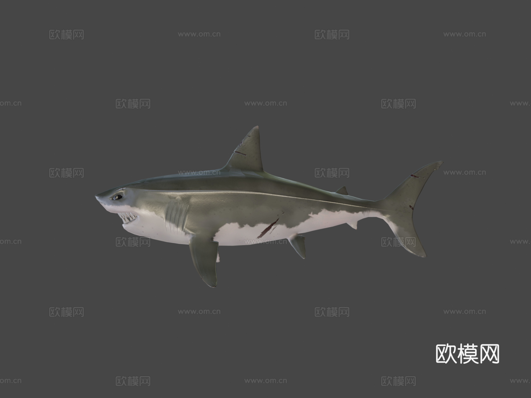 低多边形鲨鱼3d模型