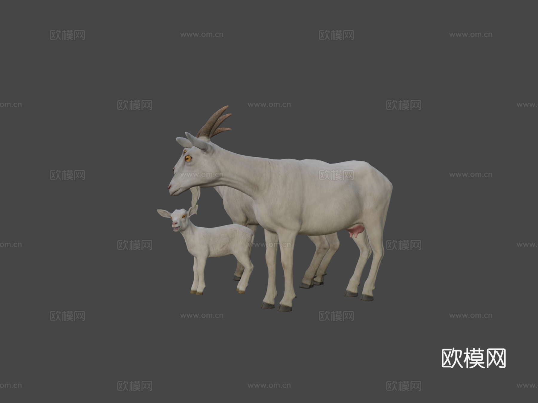 山羊家族3d模型