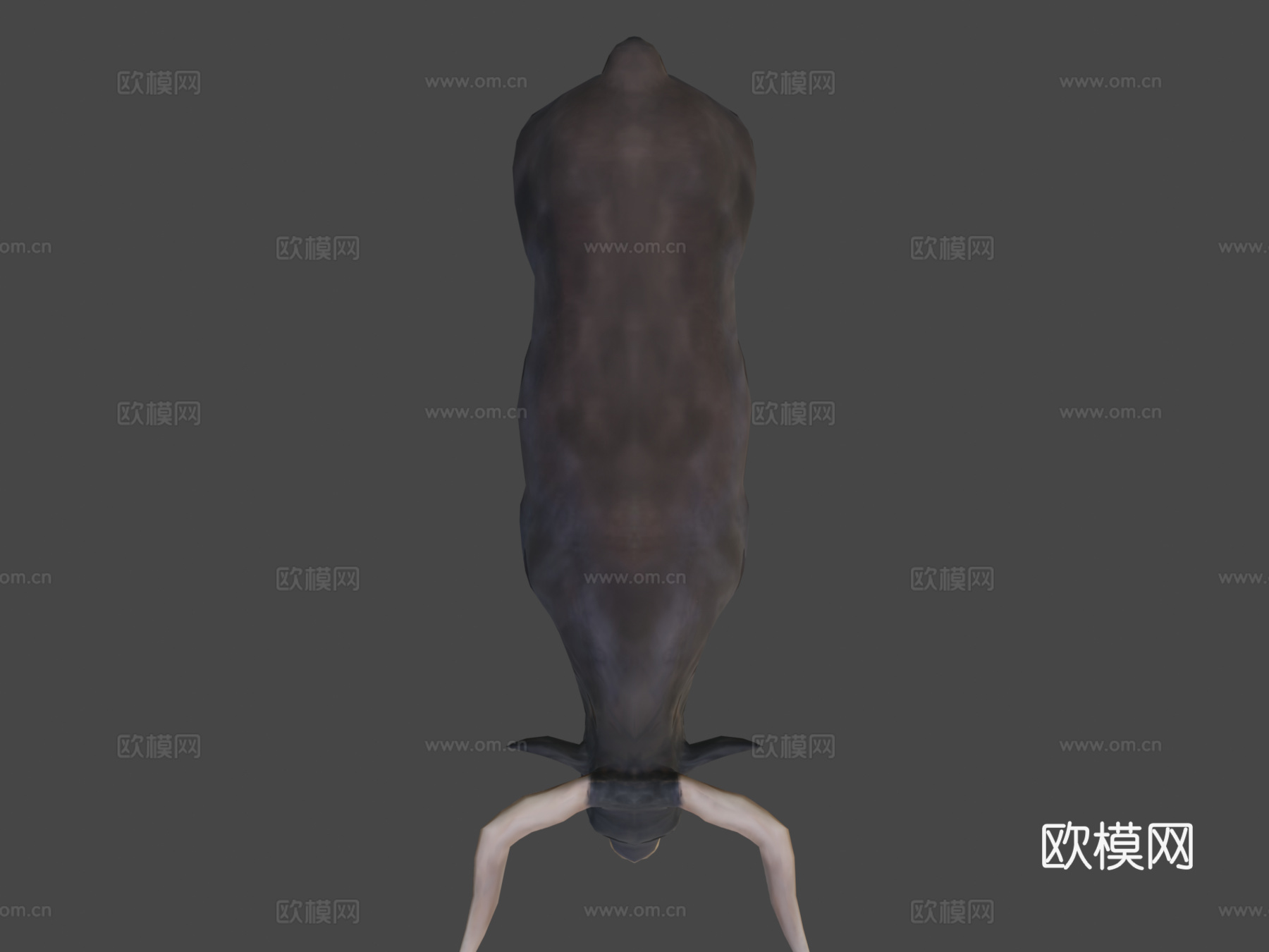 公牛3d模型