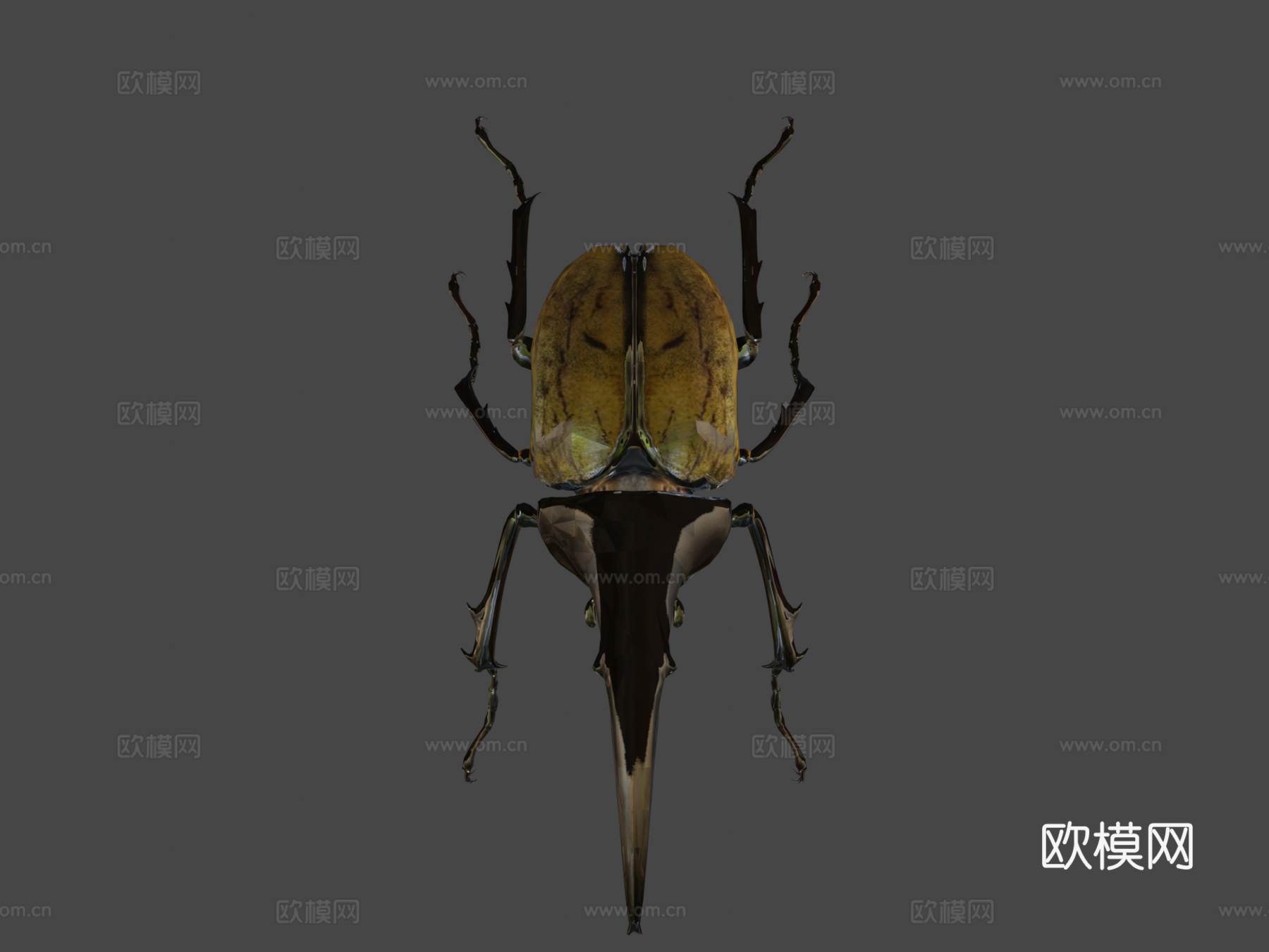 赫拉克勒斯大兜虫3d模型