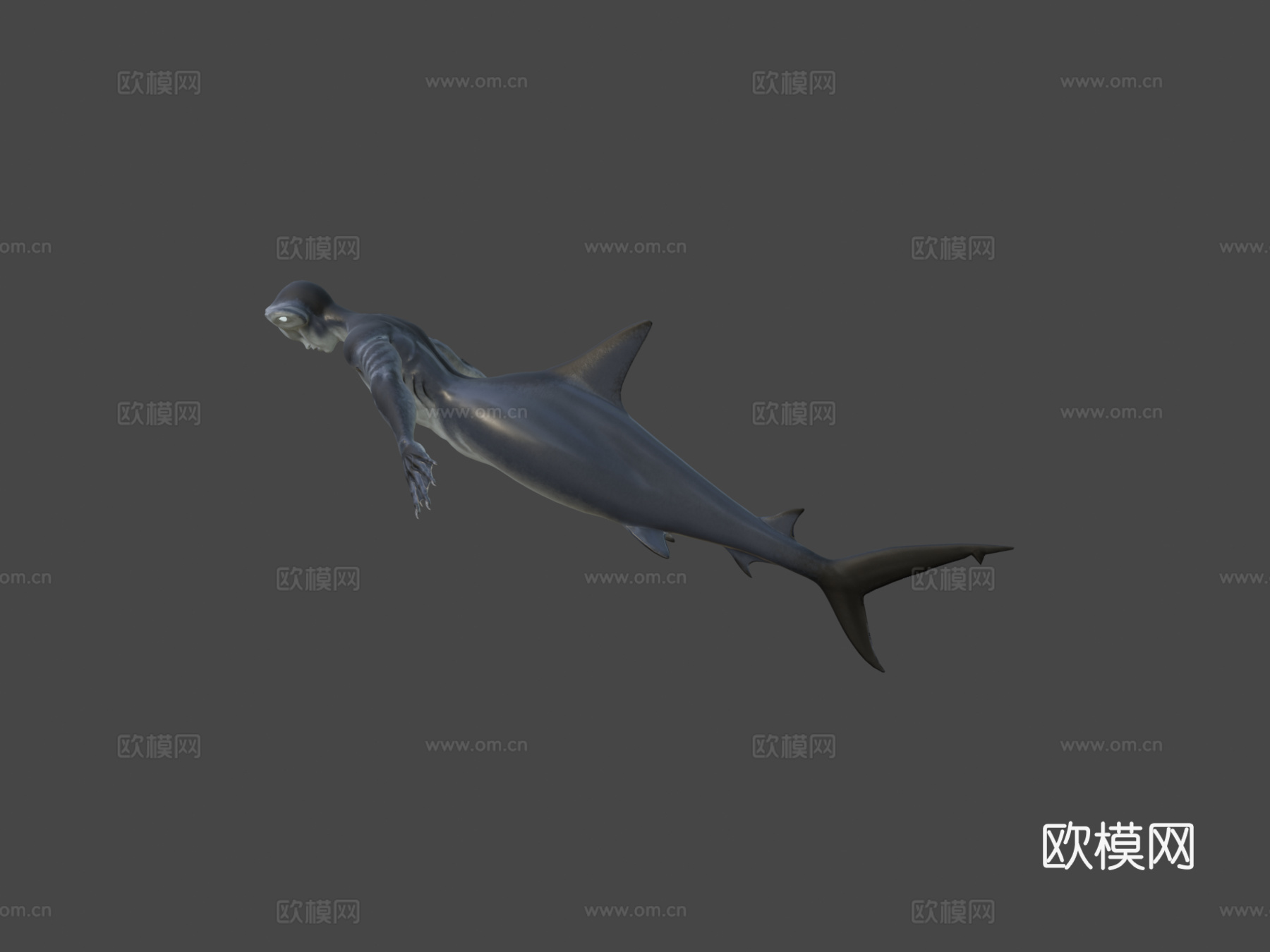 鲨鱼美人鱼3d模型