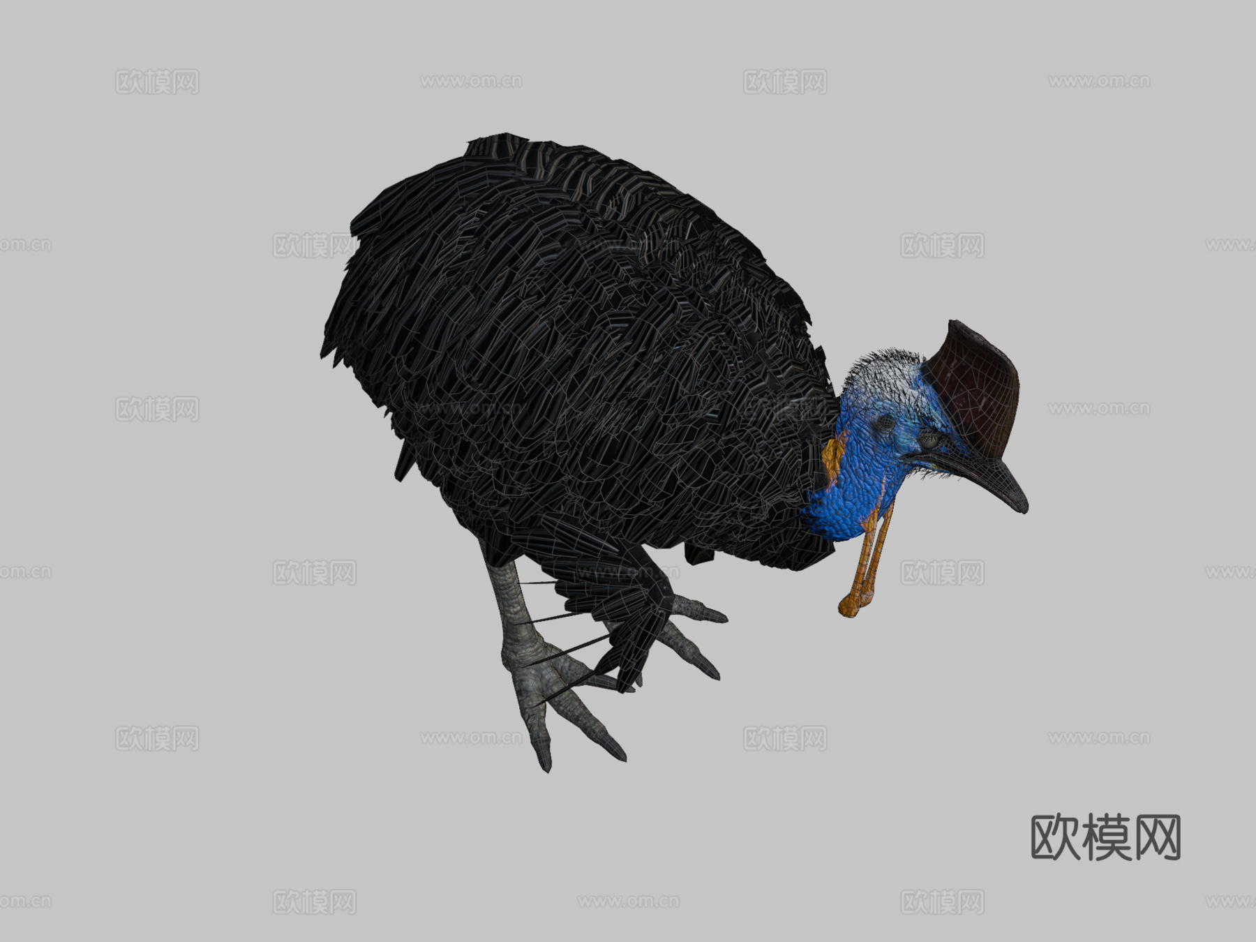 南方食火鸡su模型下载（渲染图2）