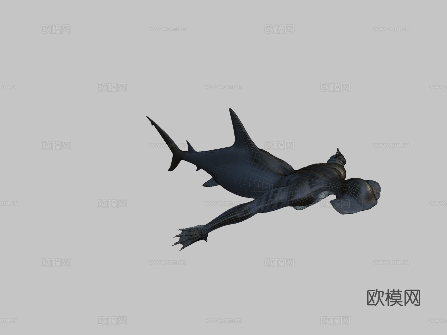 鲨鱼美人鱼3d模型