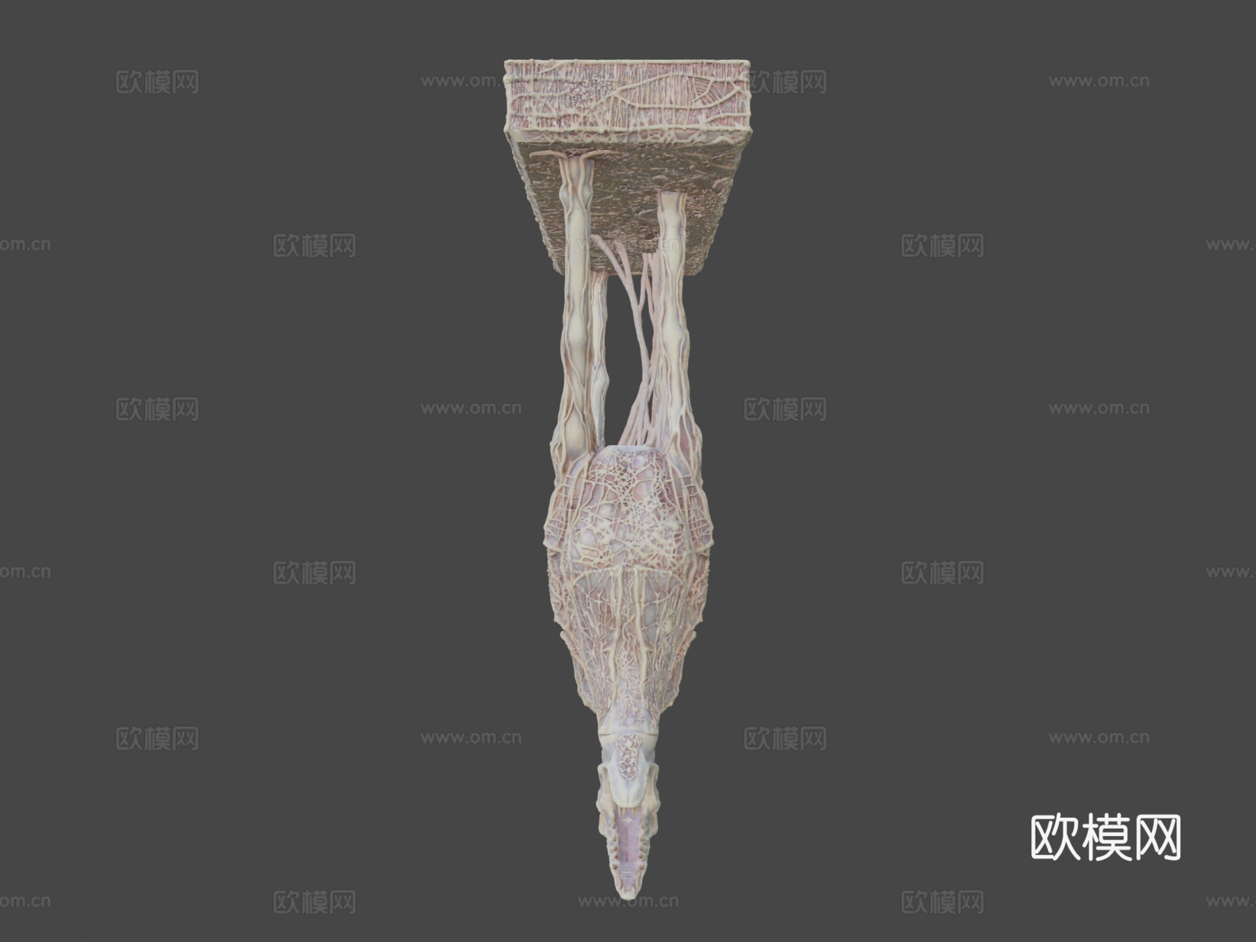外星马3d模型