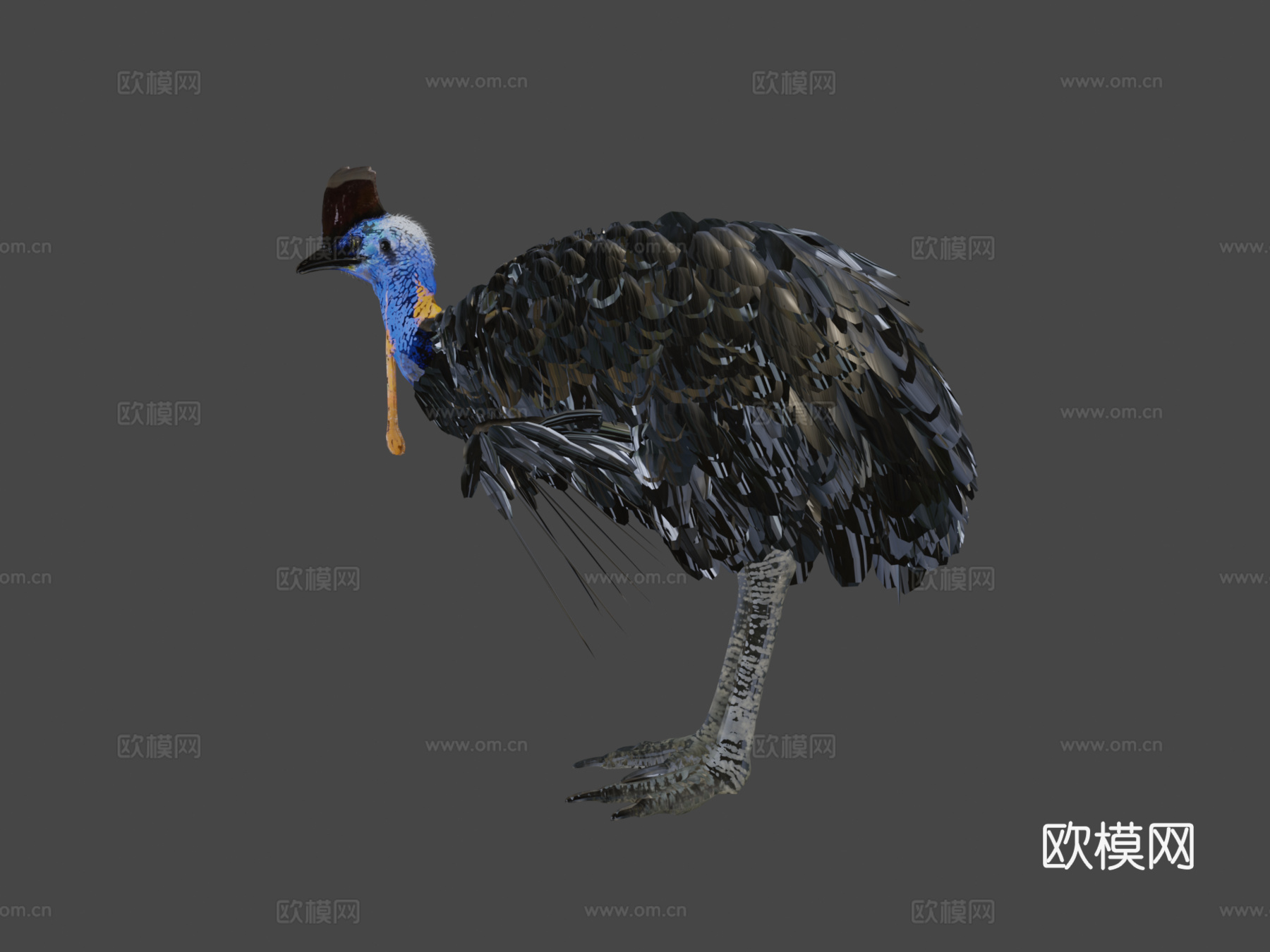 南方食火鸡su模型下载（渲染图7）