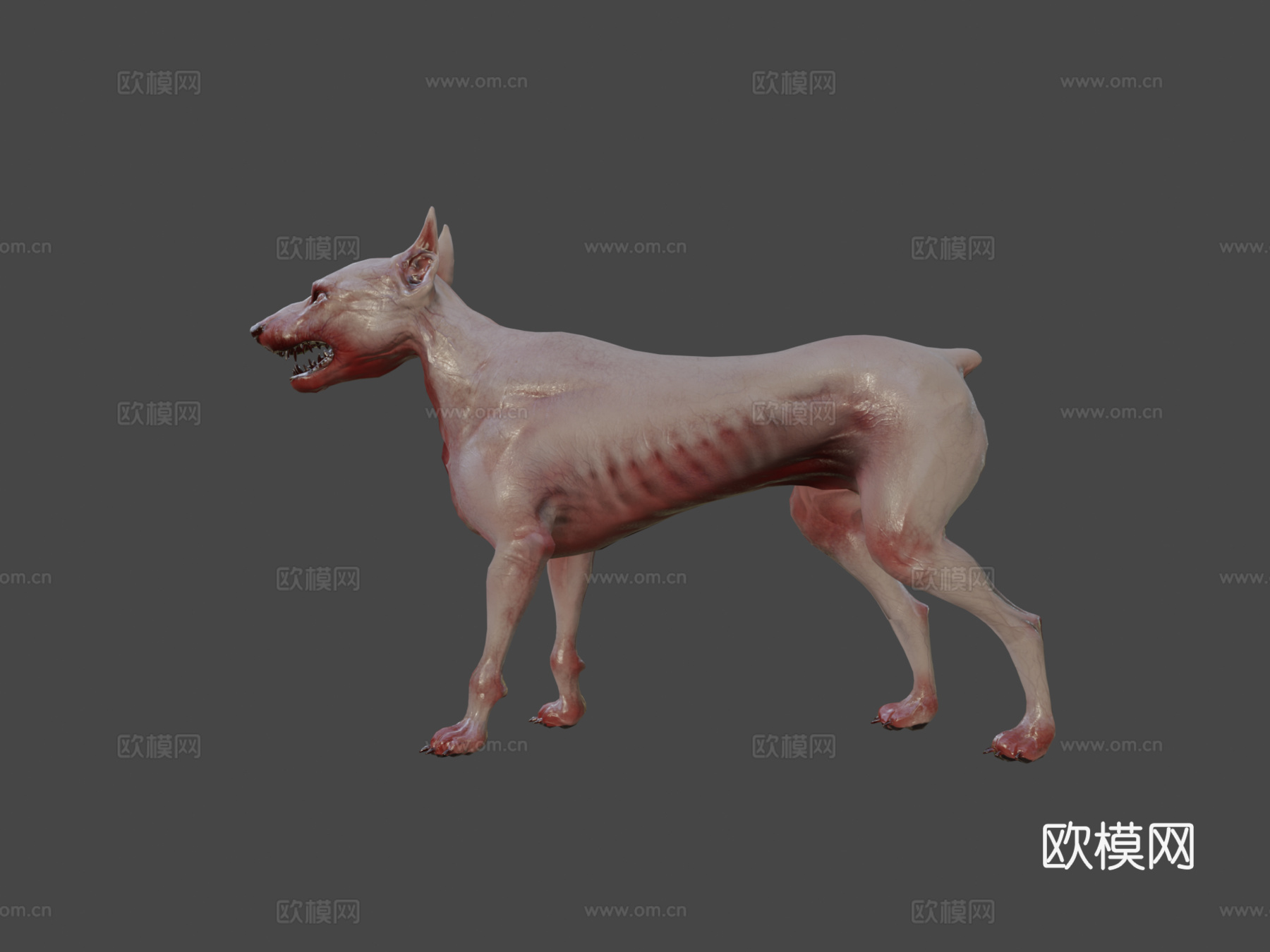 战斗犬3d模型