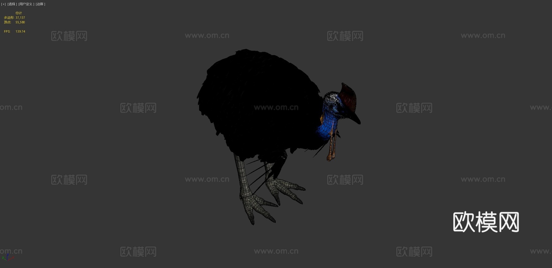 南方食火鸡su模型下载（渲染图4）